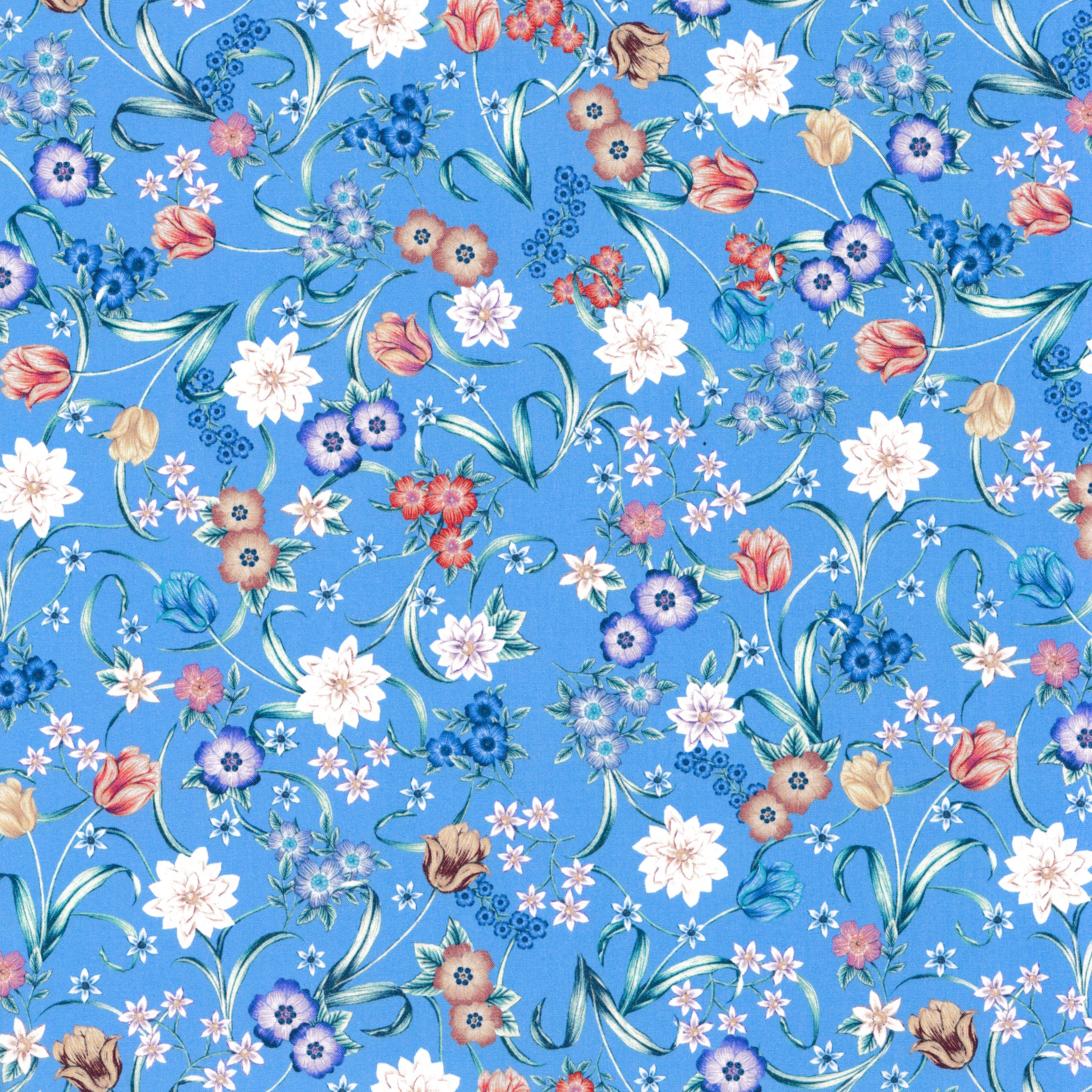 Astral Meadow (D)