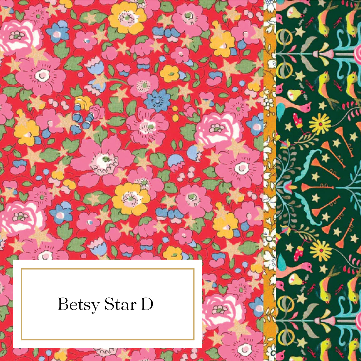 Betsy Star (D)