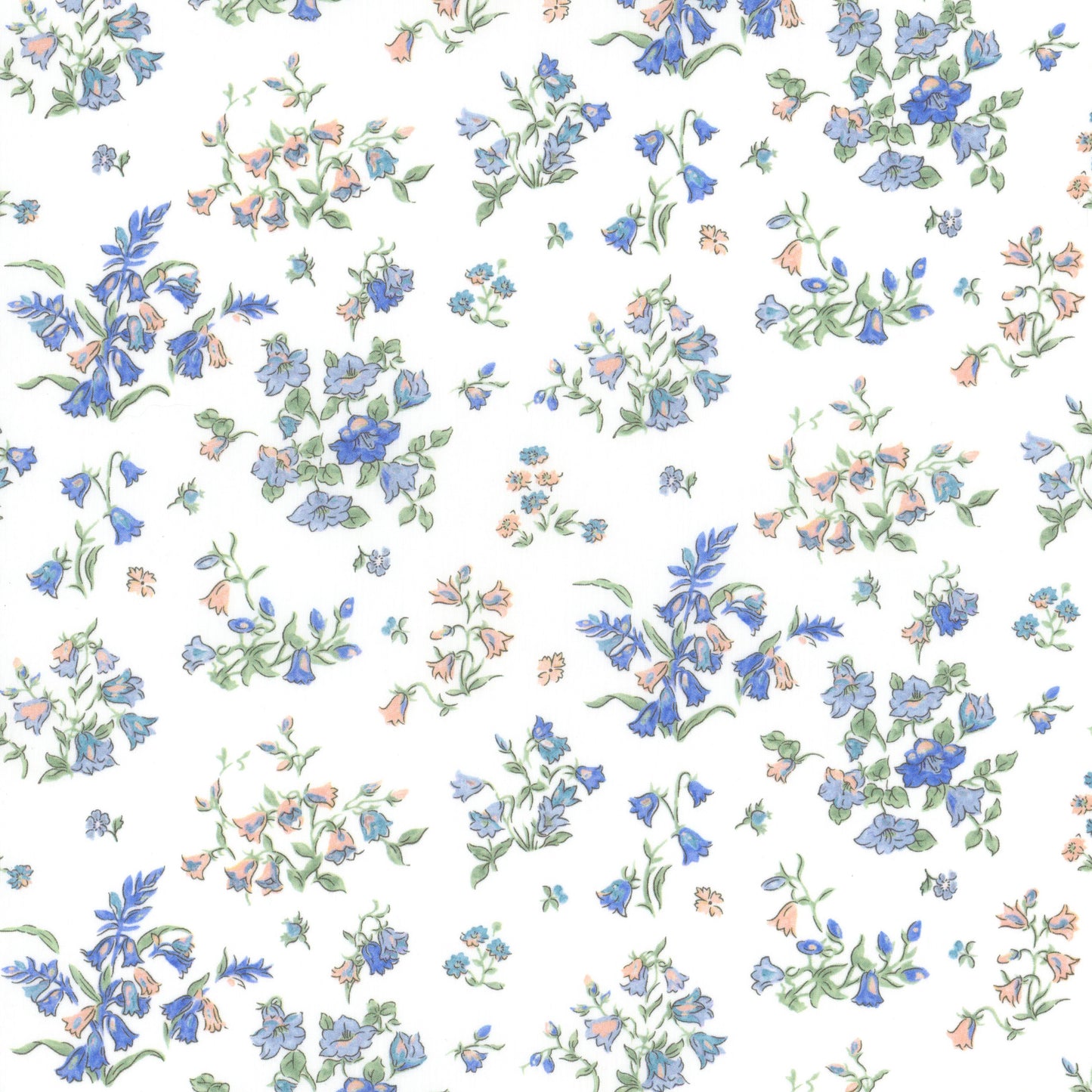 Bluebell Fields (C)