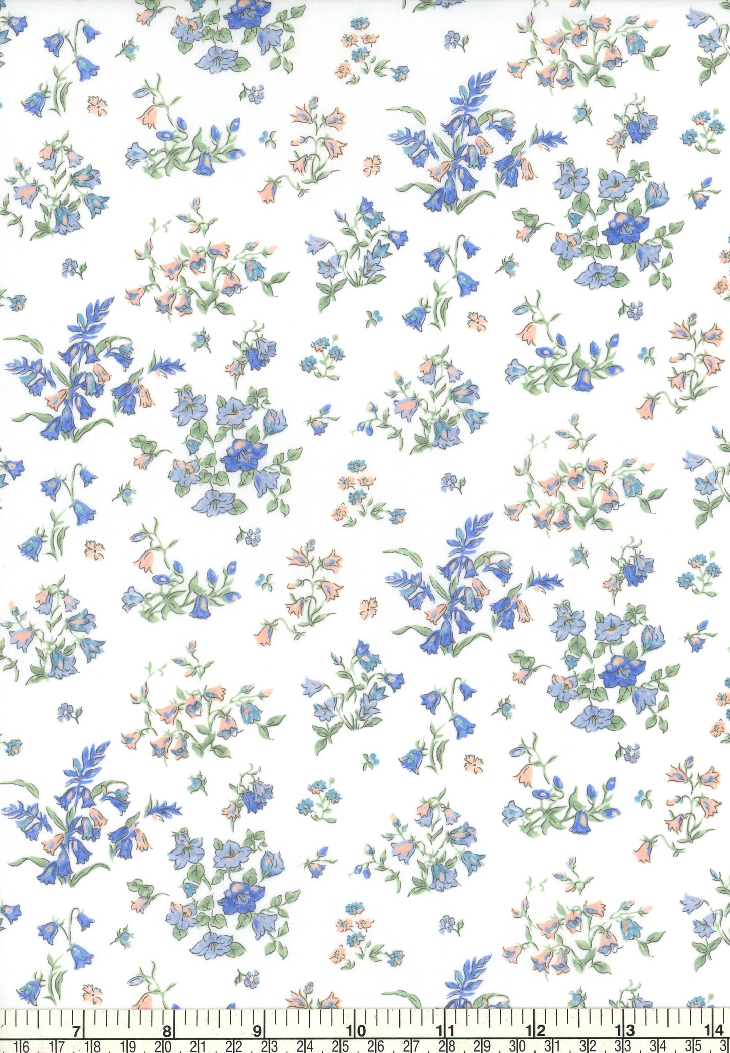 Bluebell Fields (C)