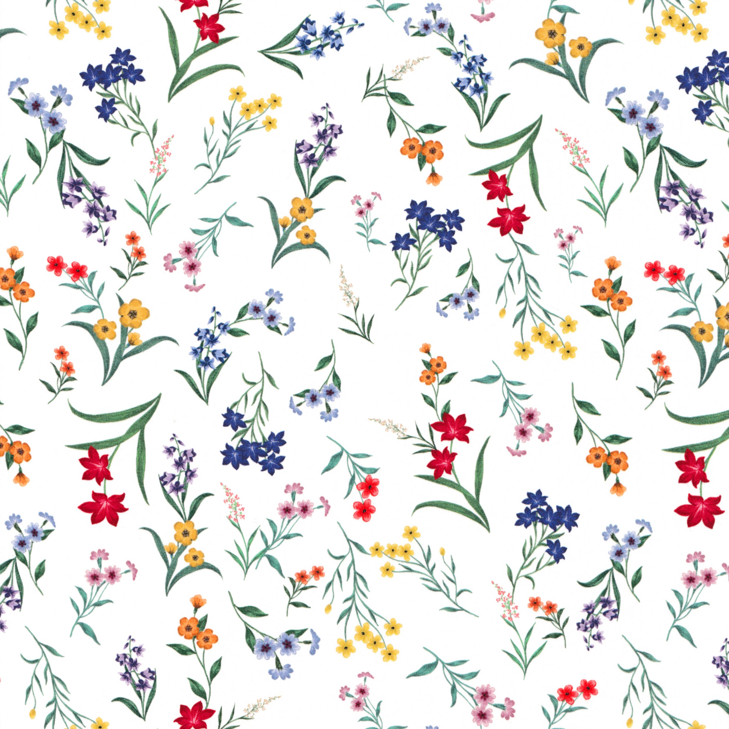 Botanical Display (A)