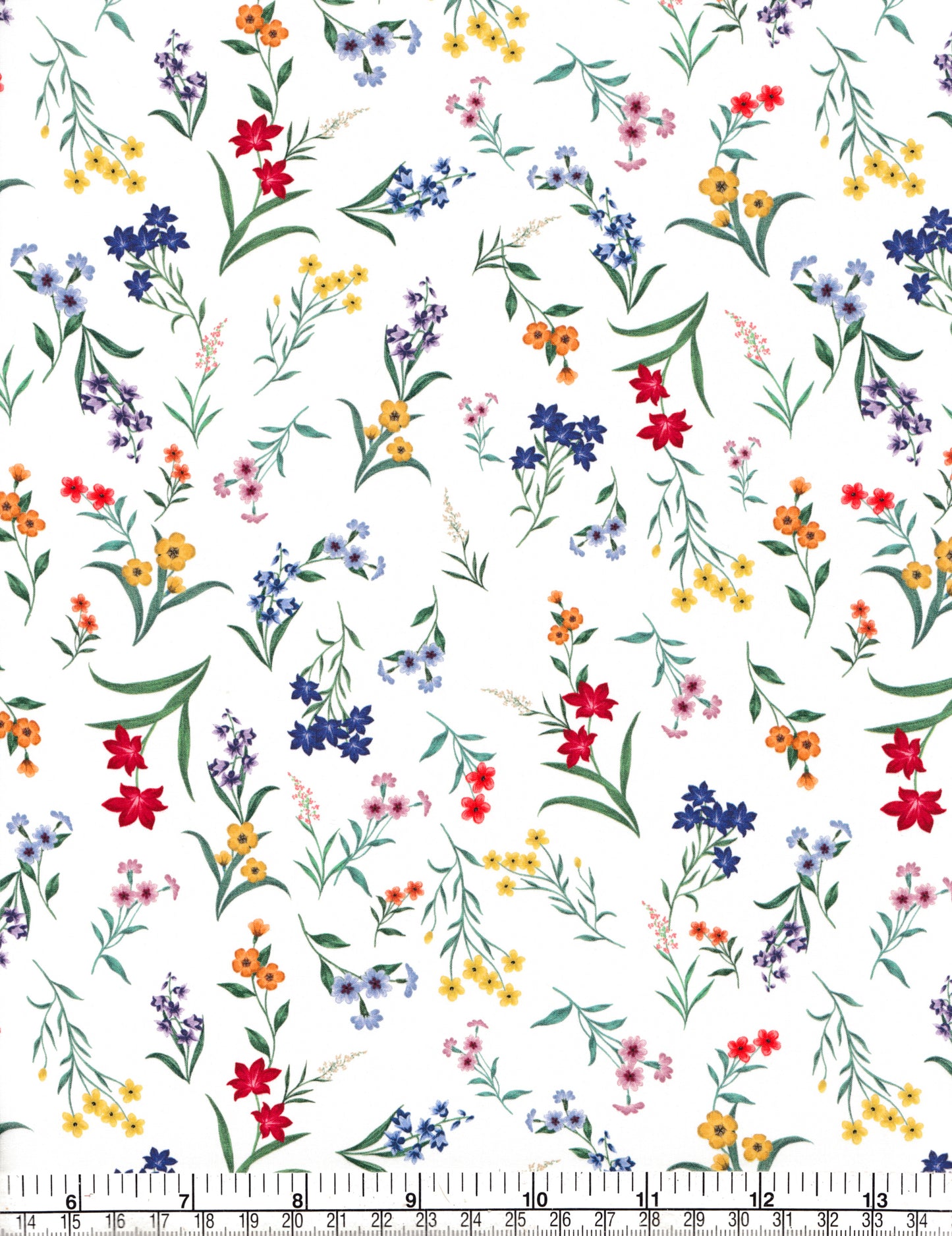 Botanical Display (A)