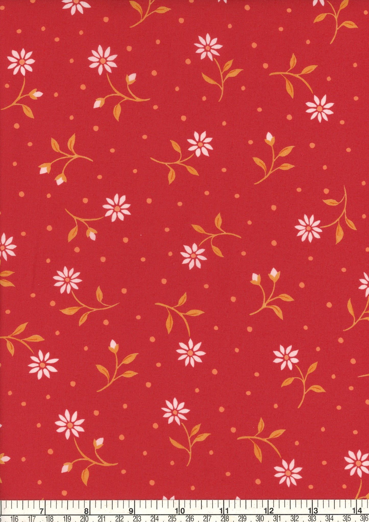 Bryony Daisy (A)