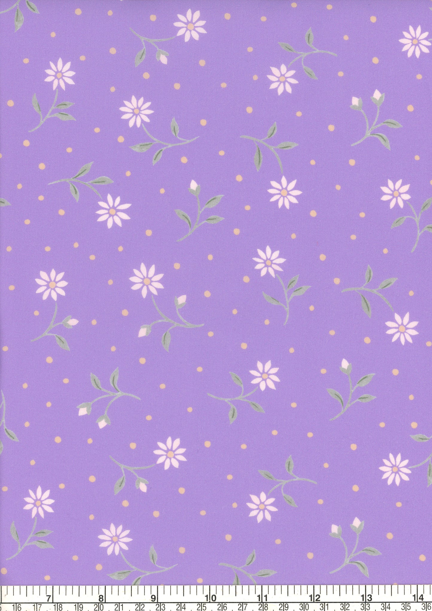 Bryony Daisy (B)