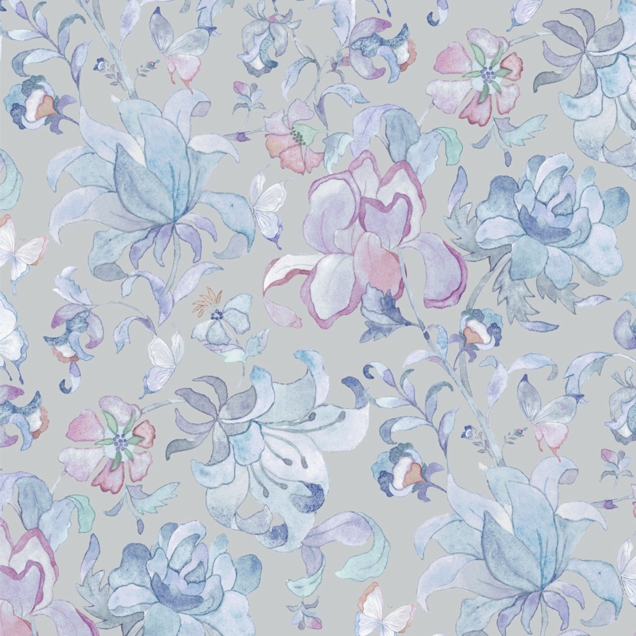Butterfly Vine (A)