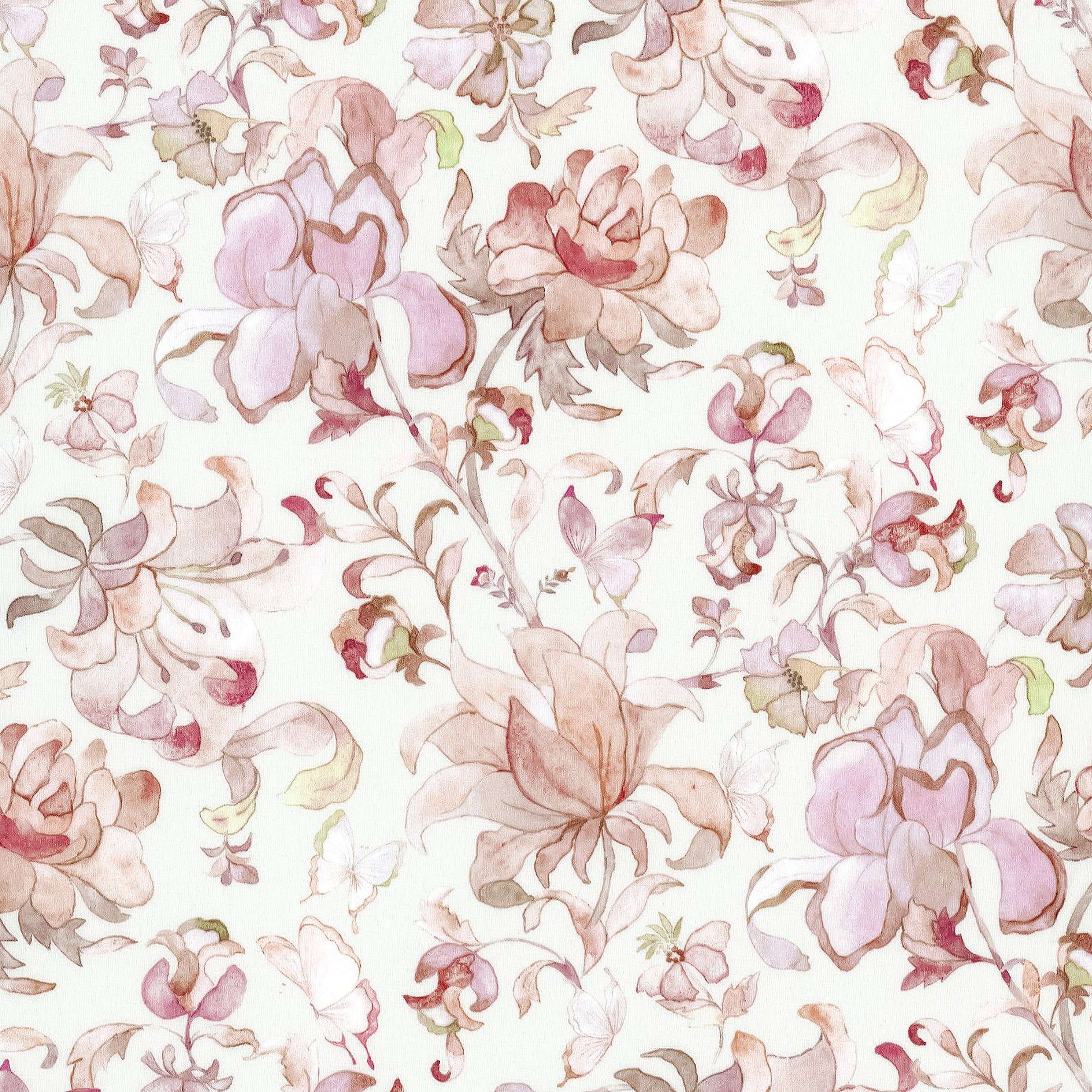 Butterfly Vine (D)