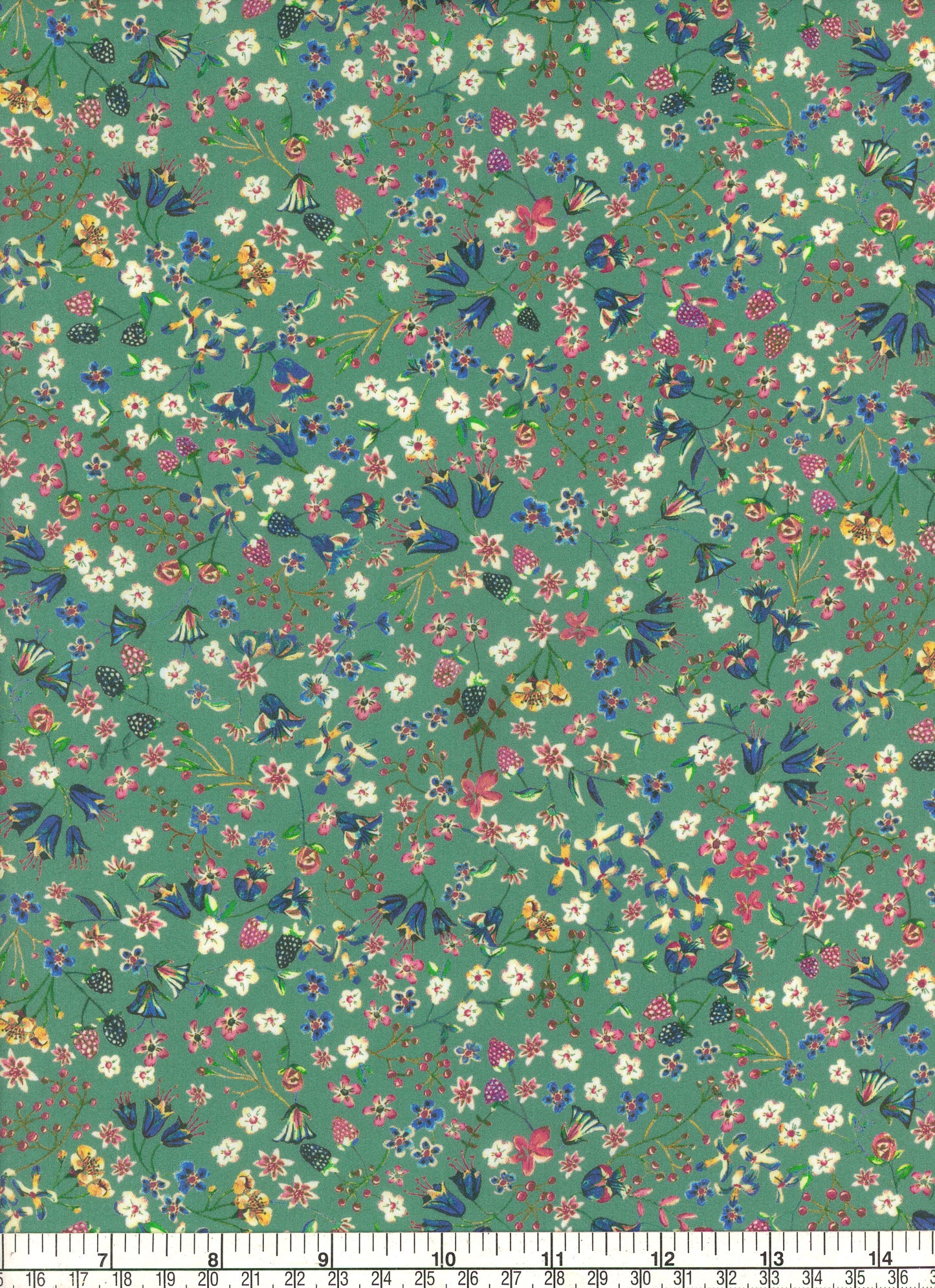 Donna Leigh (D) 2026