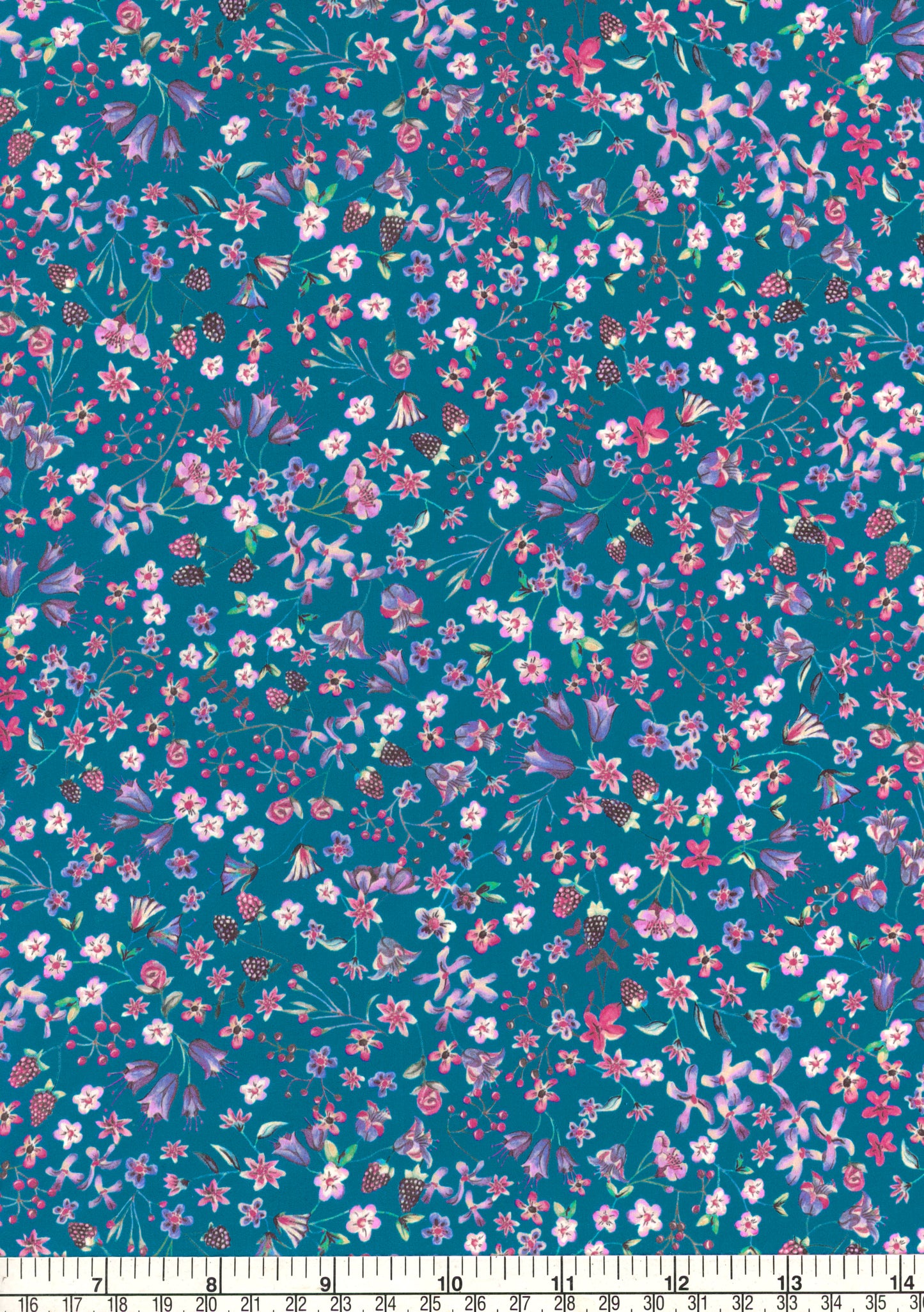Donna Leigh Teal