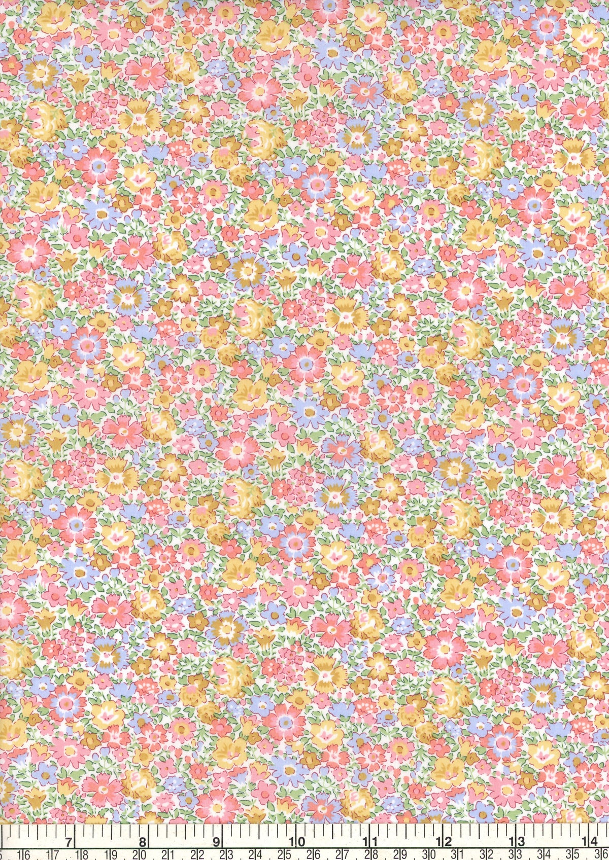 Dora Daisy (C)