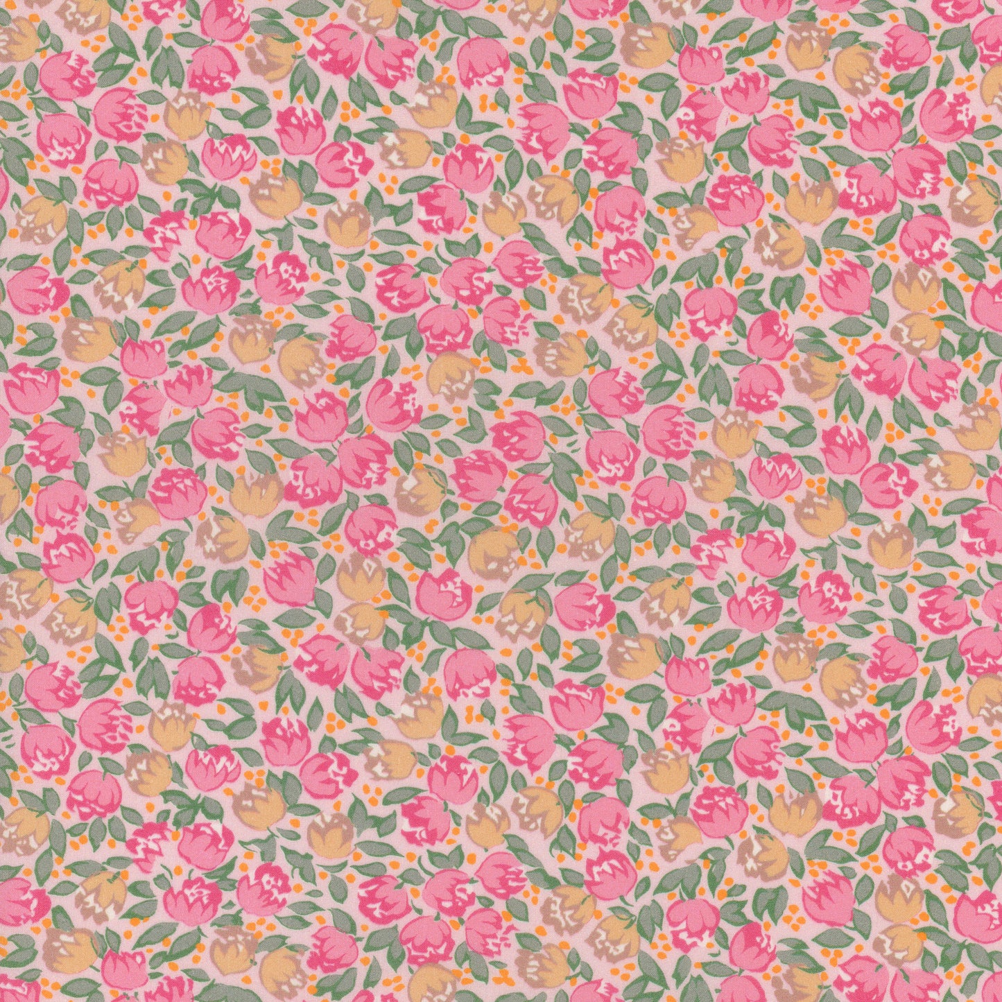 Dottie Lottie (A)