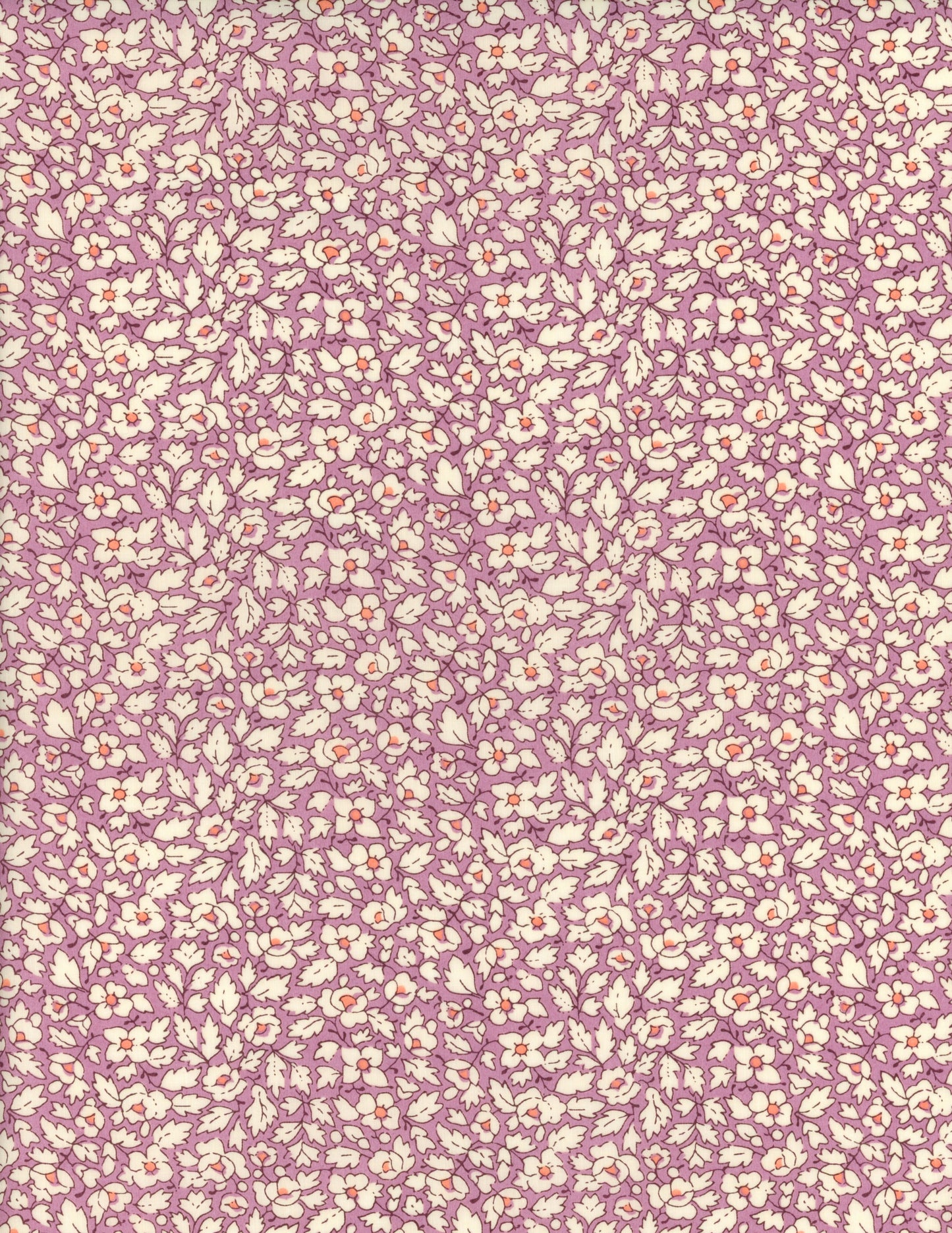 Feather Meadow Collection: Feather Meadow Lilac