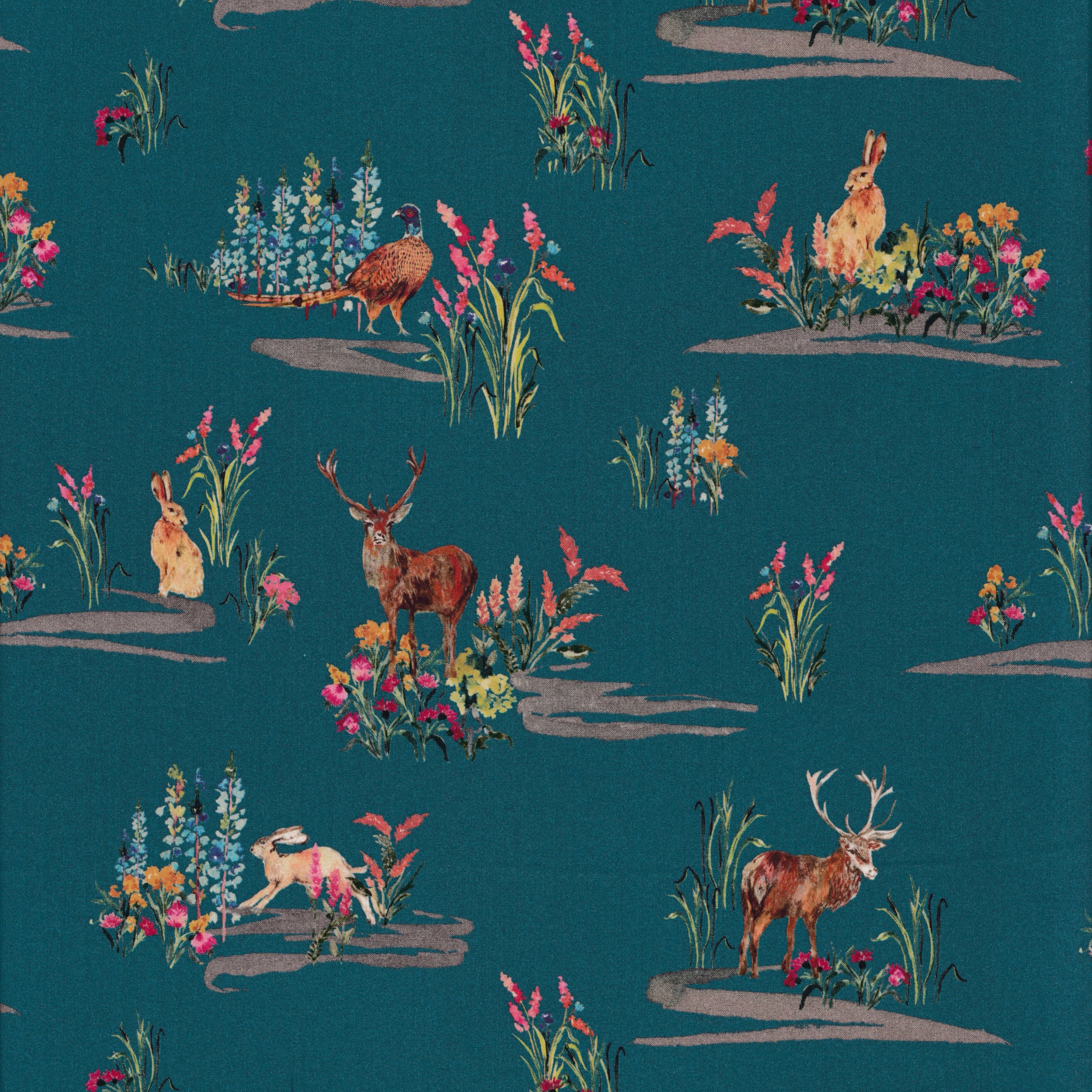 Highland Meadow (B)