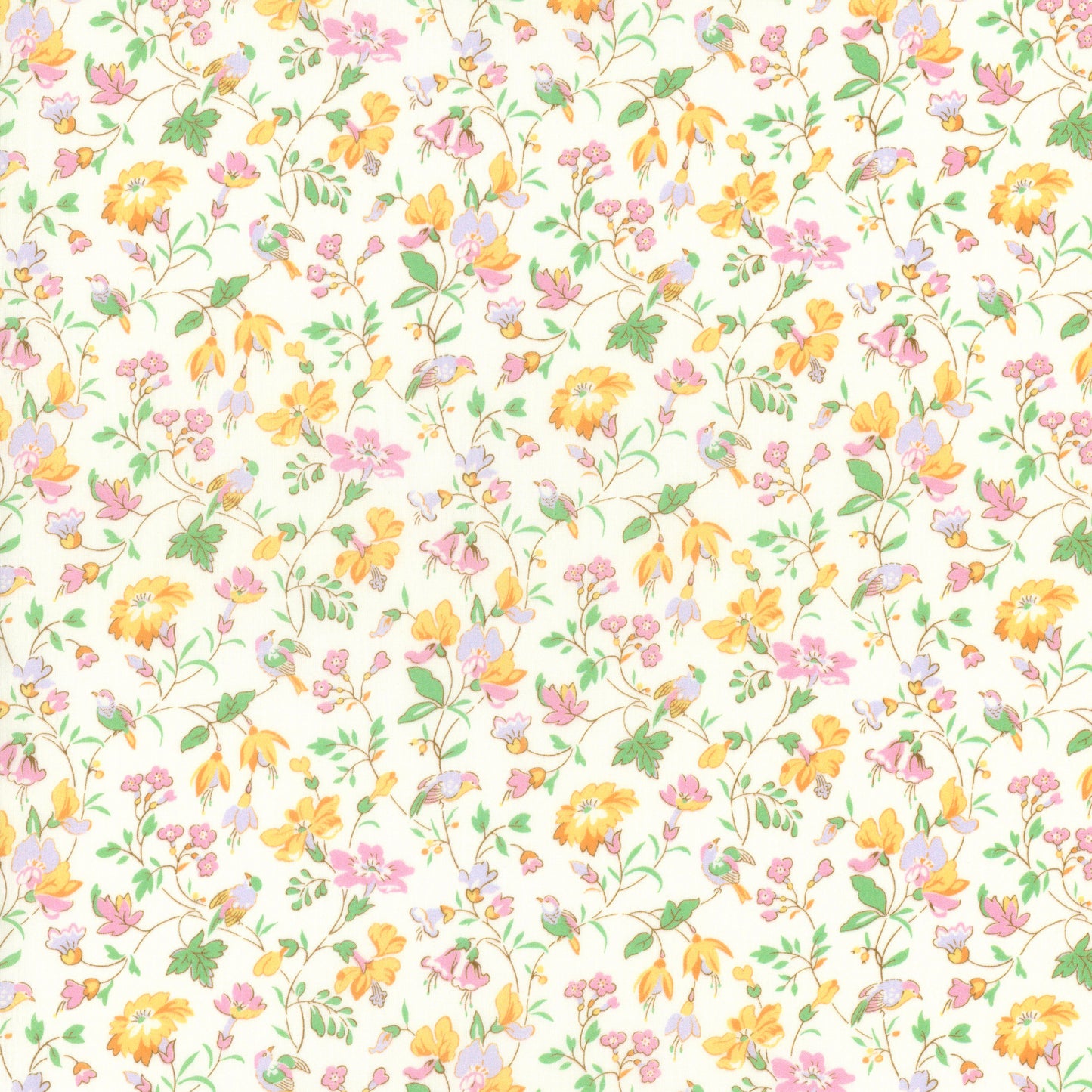 IIveta's Garden (B)