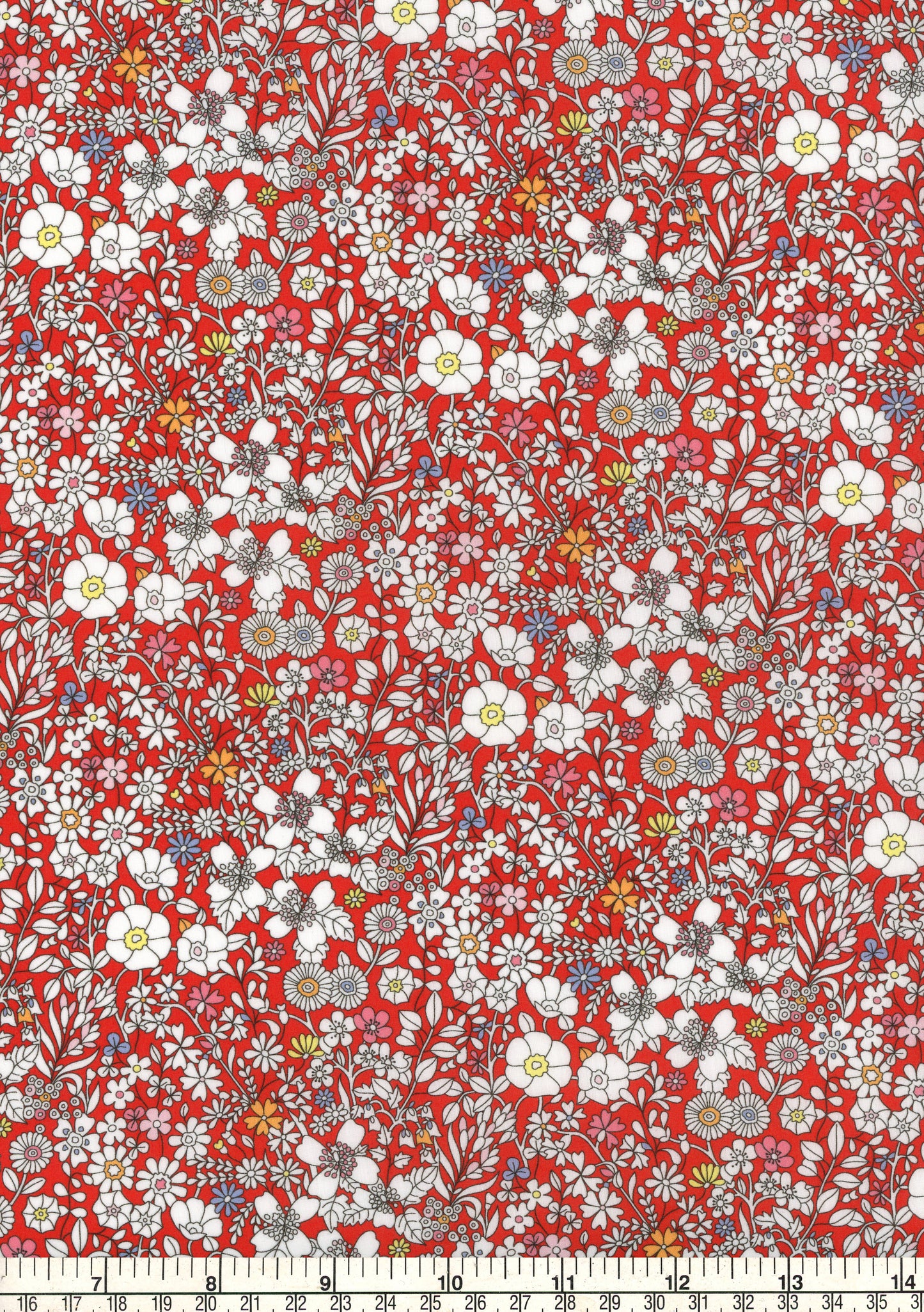 June's Meadow (B) 2026