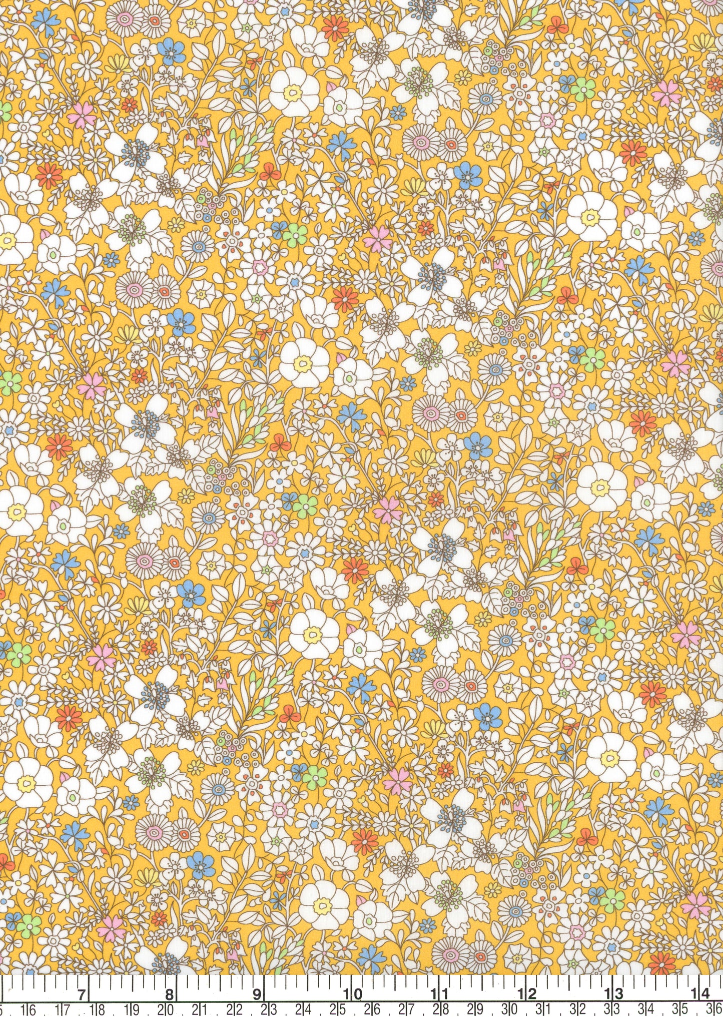 June's Meadow (C) 2025