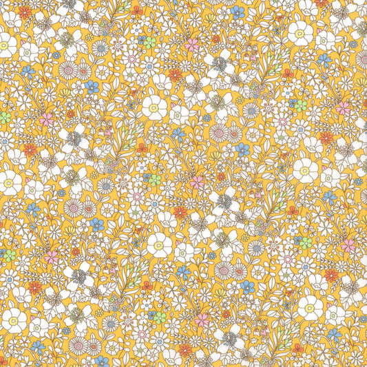 June's Meadow (C) 2025