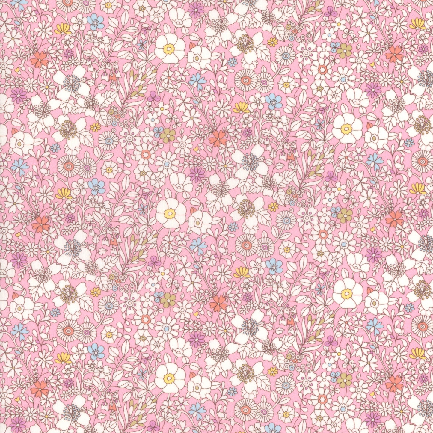 June's Meadow (H)