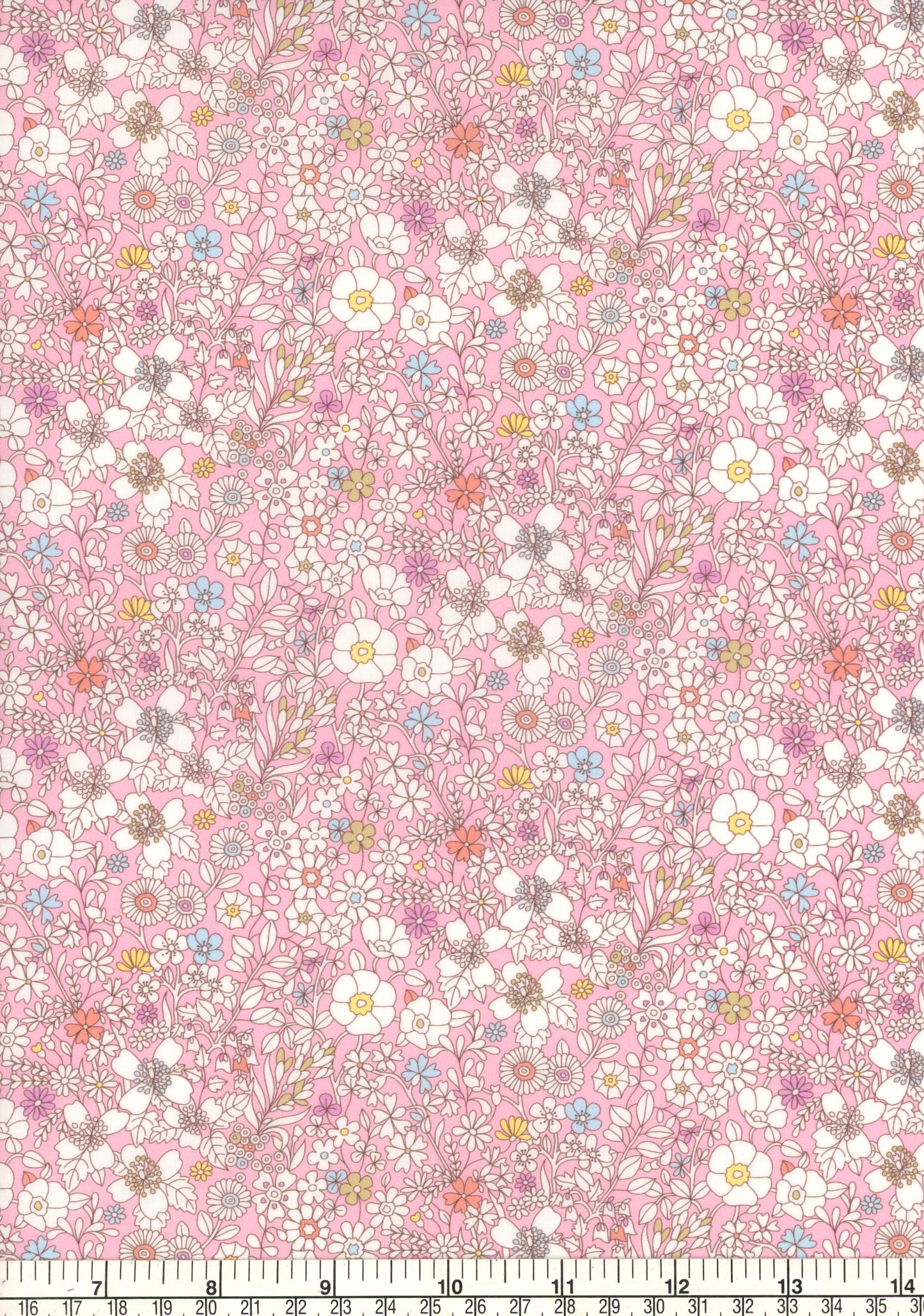 June's Meadow (H)