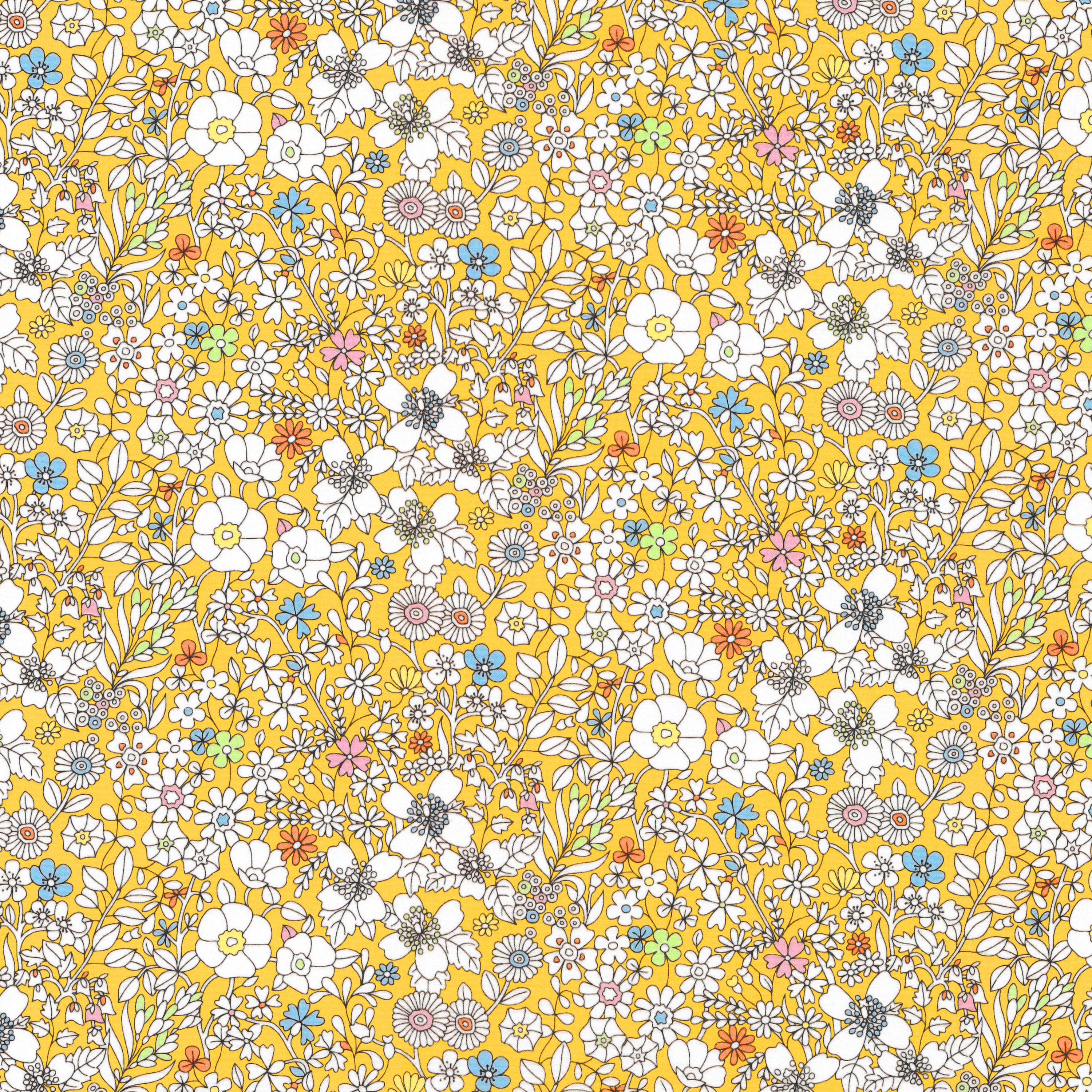 June's Meadow (C)