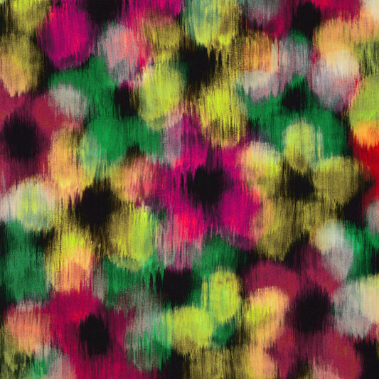 Michelle Frances (C)