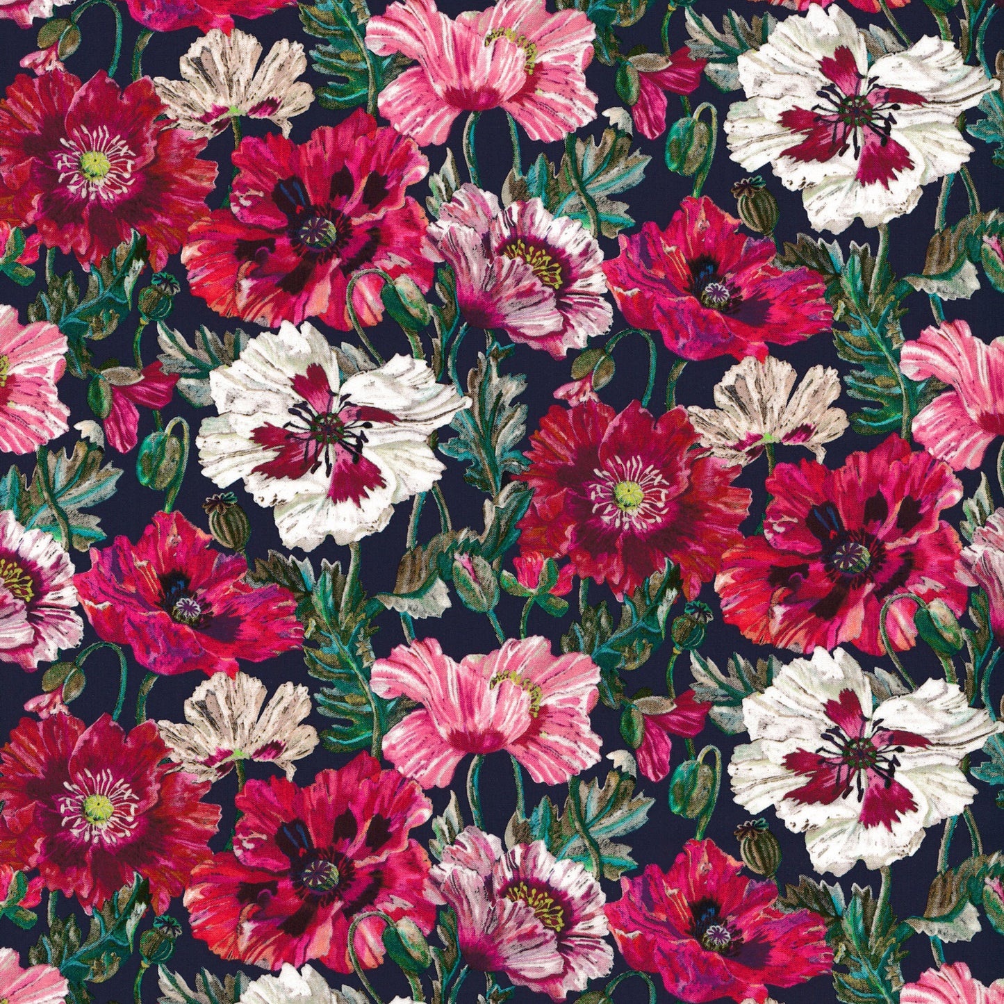 Poppy Amelie (A)