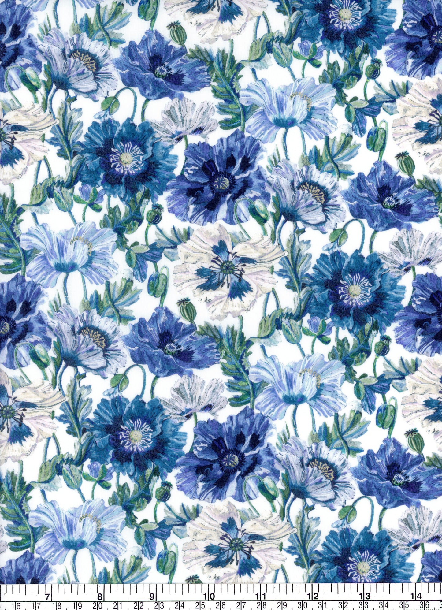 Poppy Amelie (B)