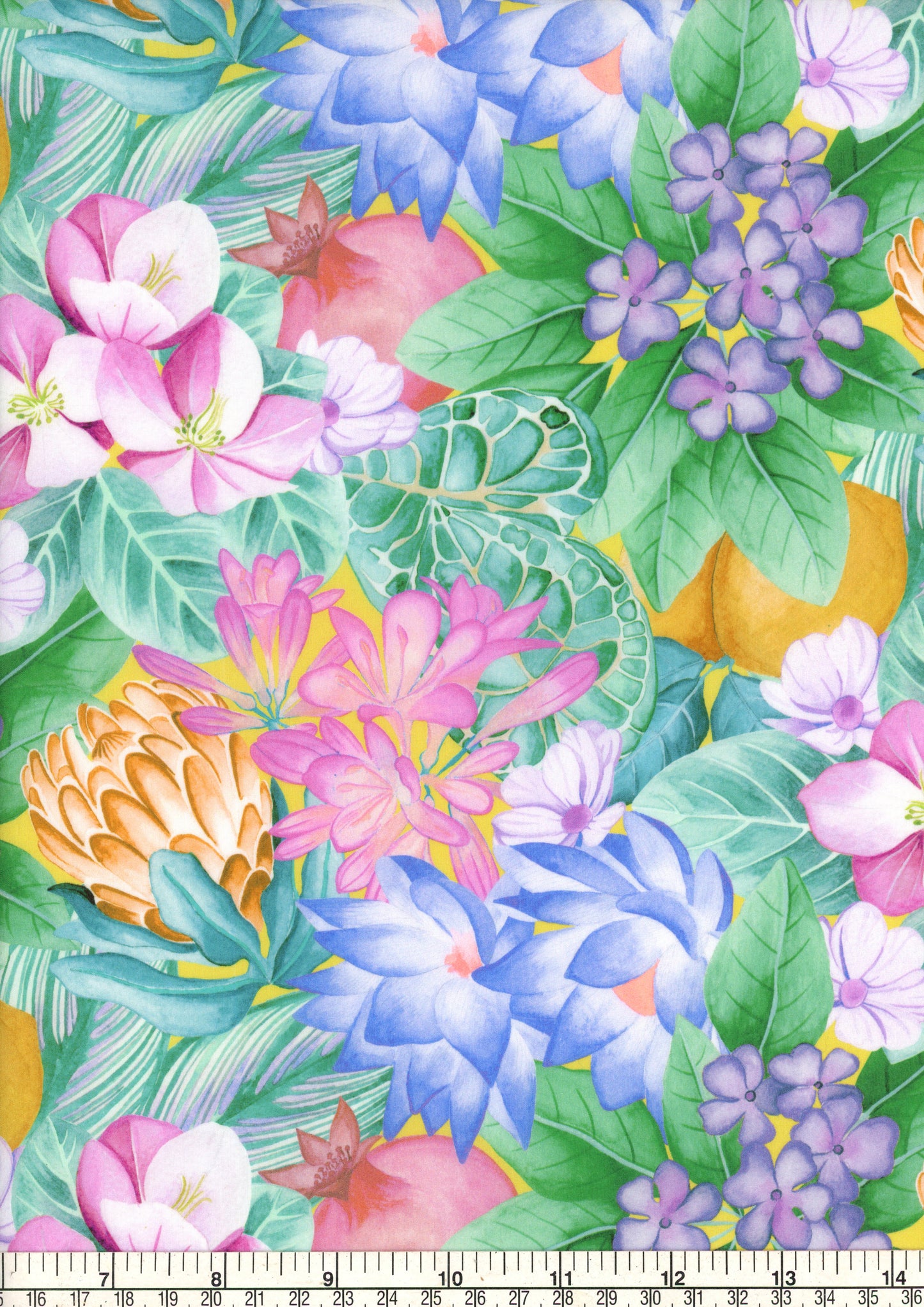 Poppy and Freddie (A)