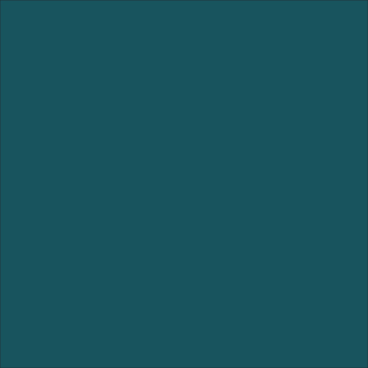 Solid Kingfisher