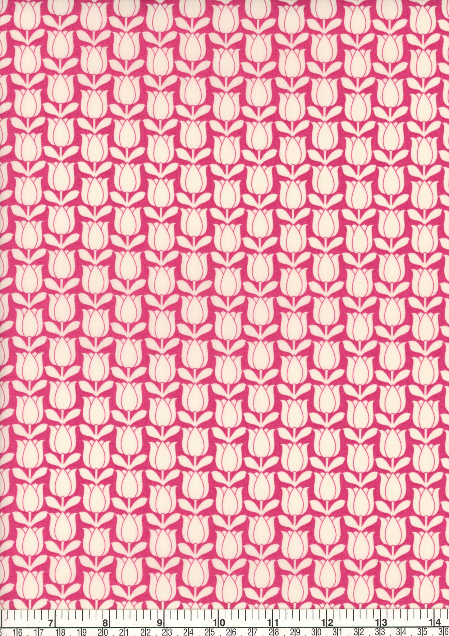 Tulipomania (C)