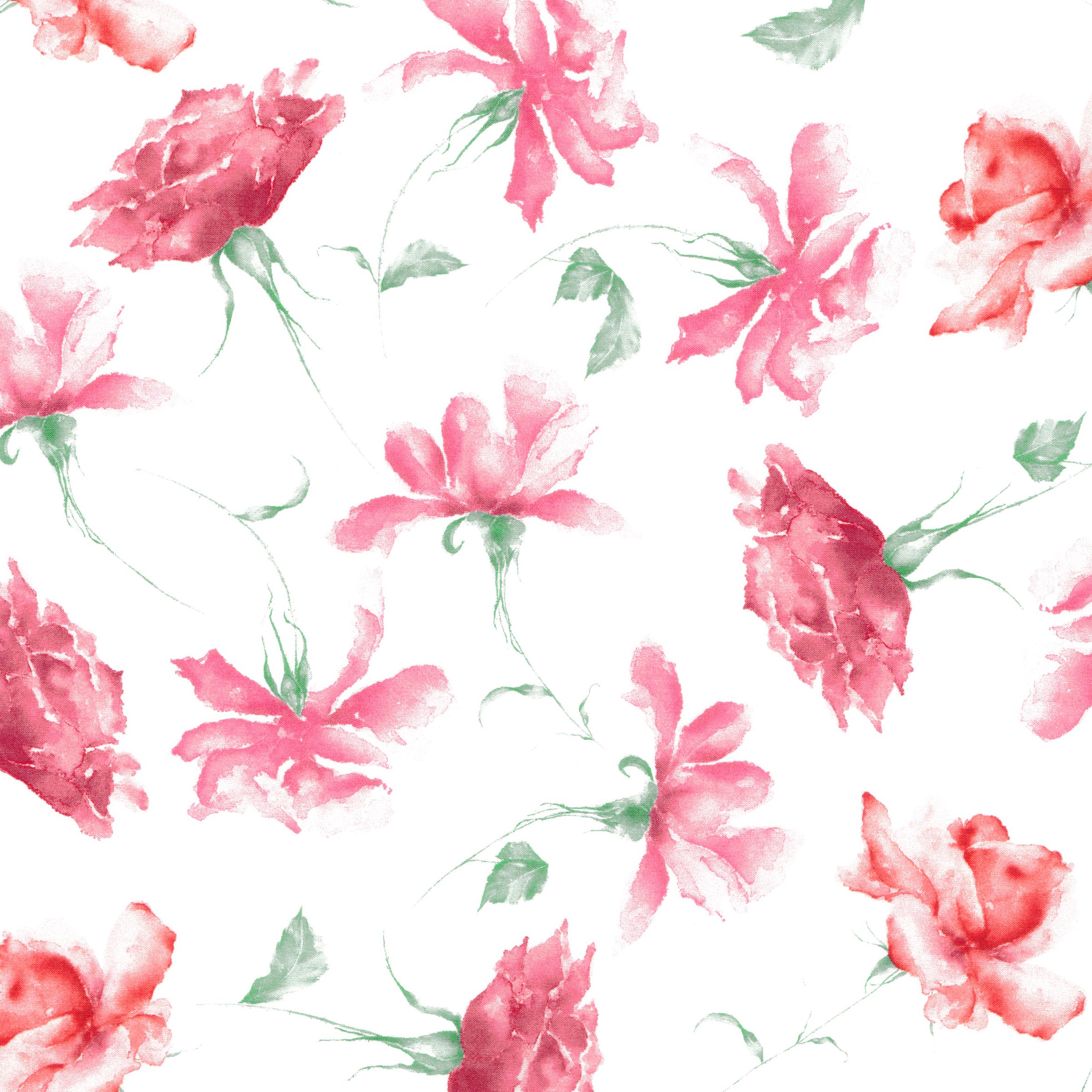 Organic Viviana Rose (C)