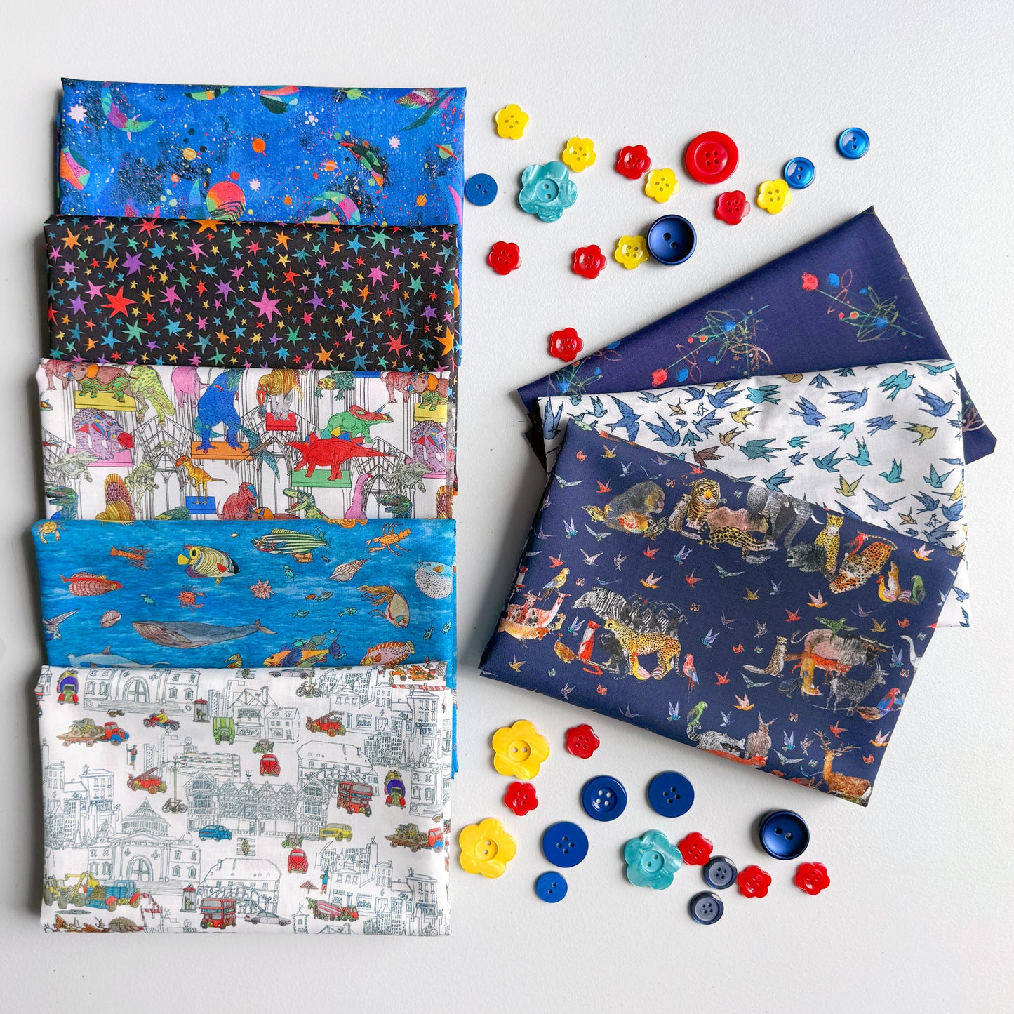 Wildsmith's Bundle: Wildsmith's Wonderful World - Primary Bundle