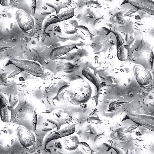 Xander Collection: Xander (C)