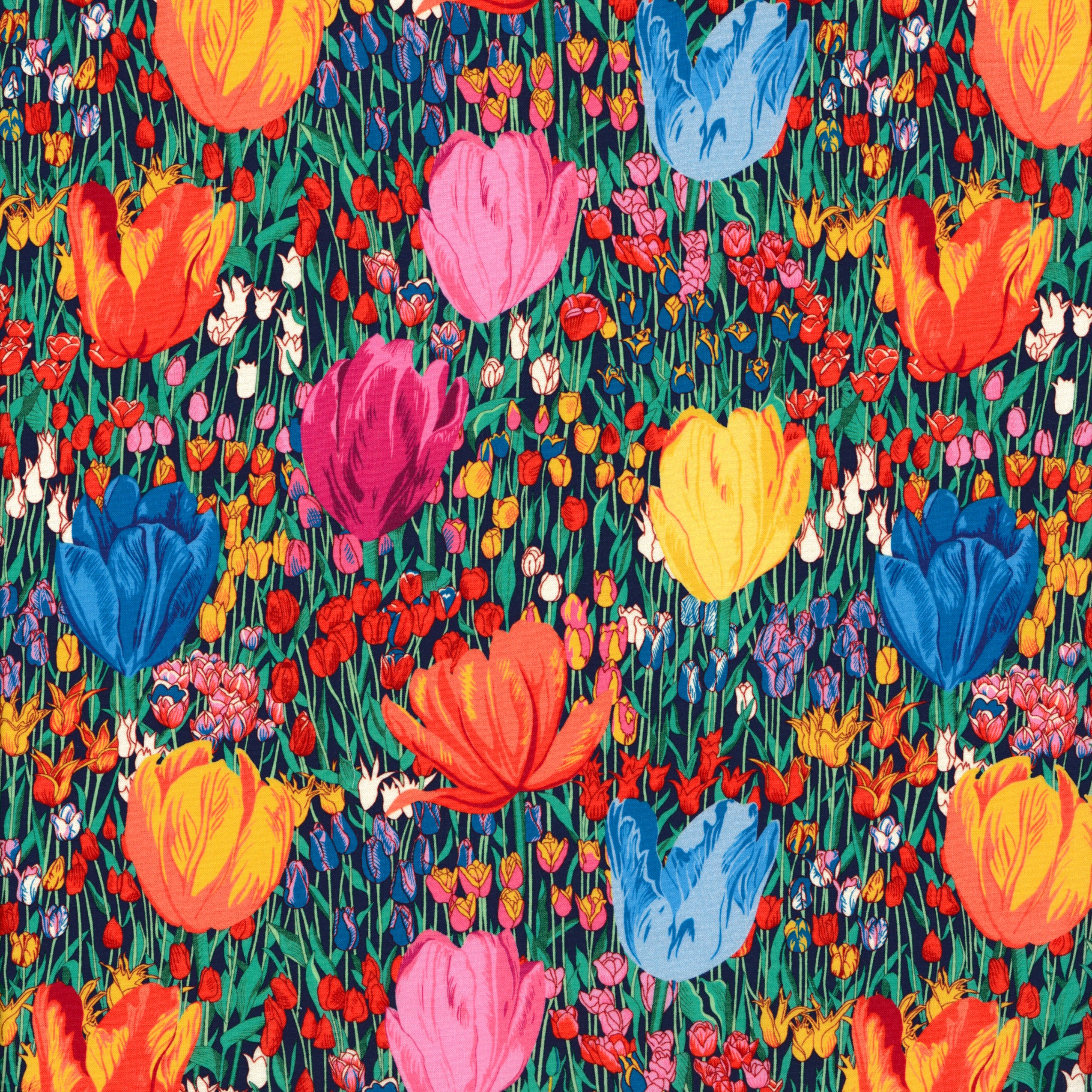 Amalia Tulip (A)
