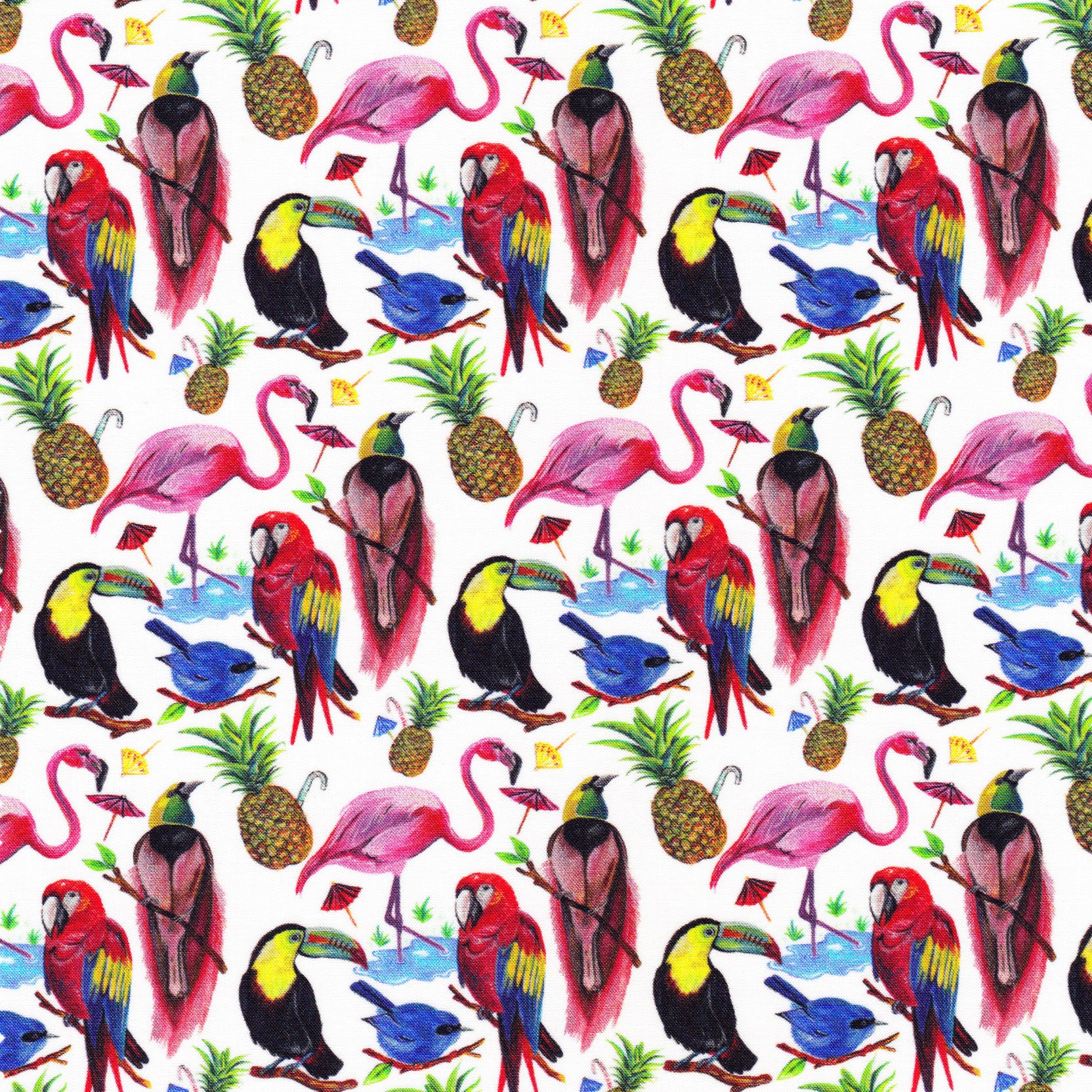 Birds of Paradise (A)