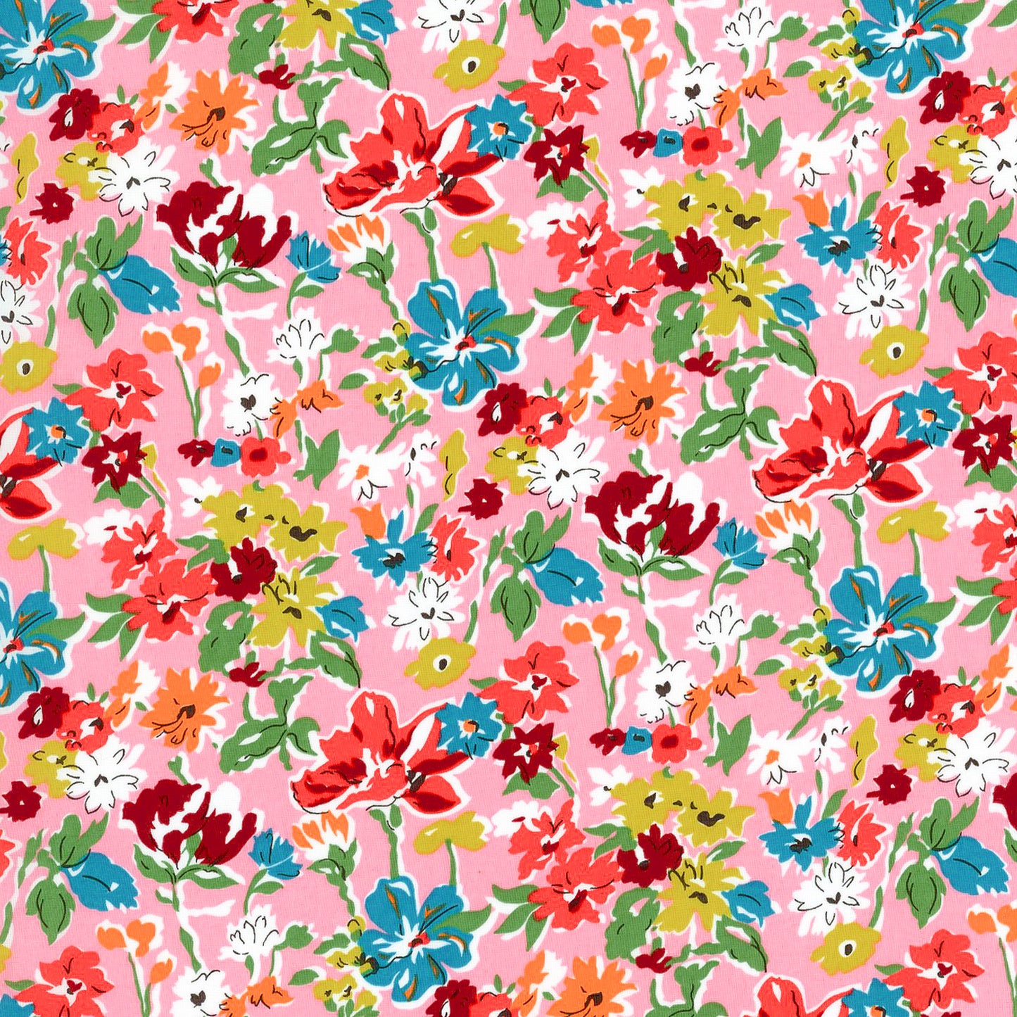 California Bloom (C)