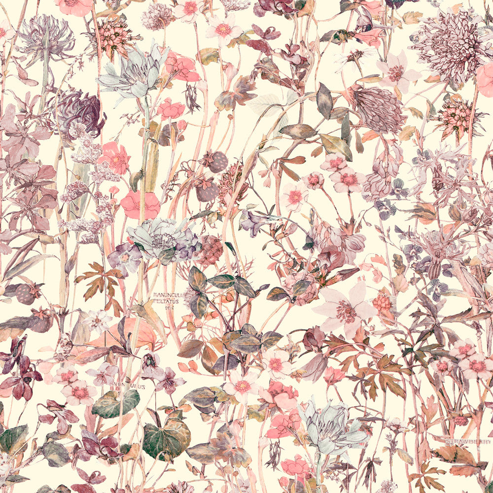 Wild Flowers (F)