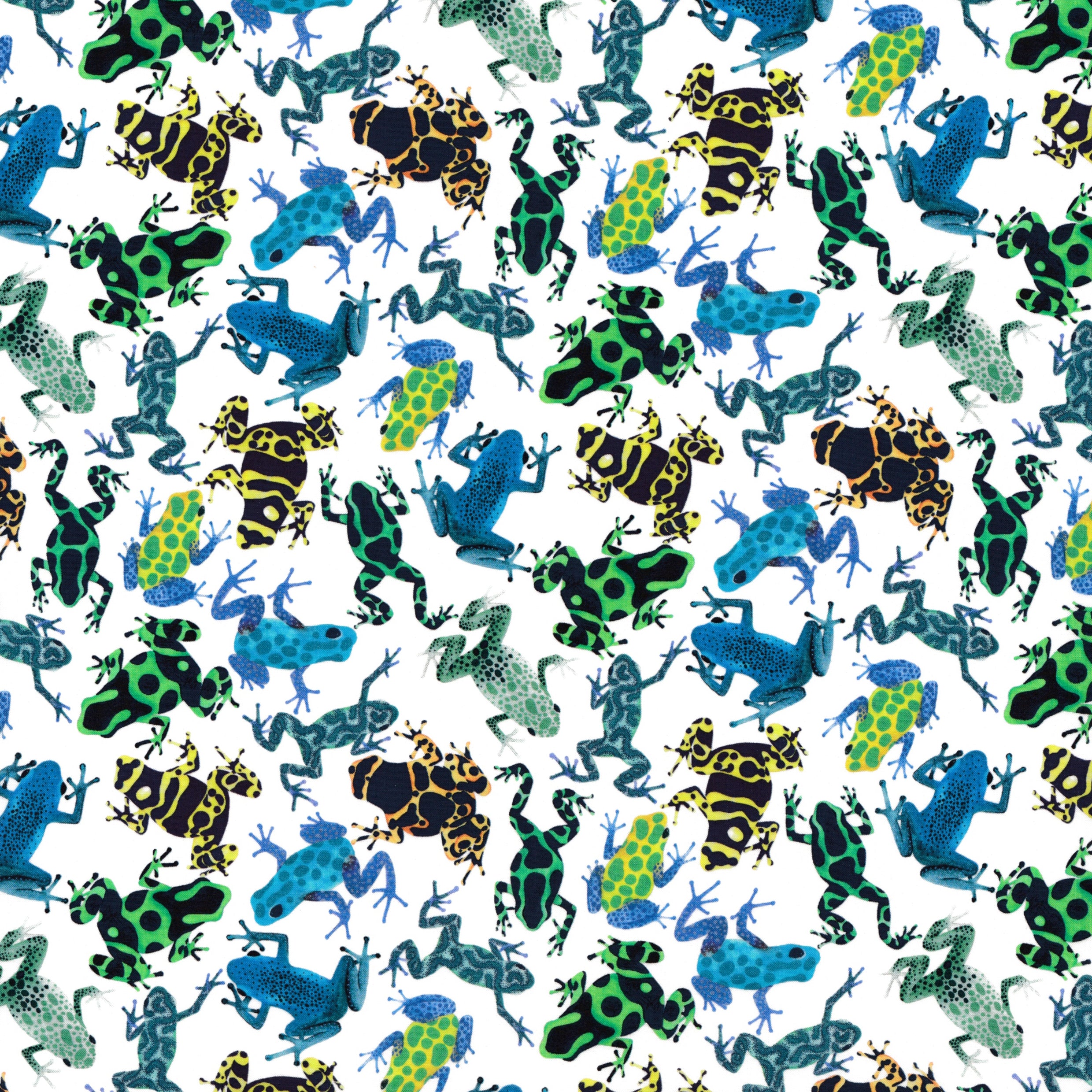 Dart Frogs (B)