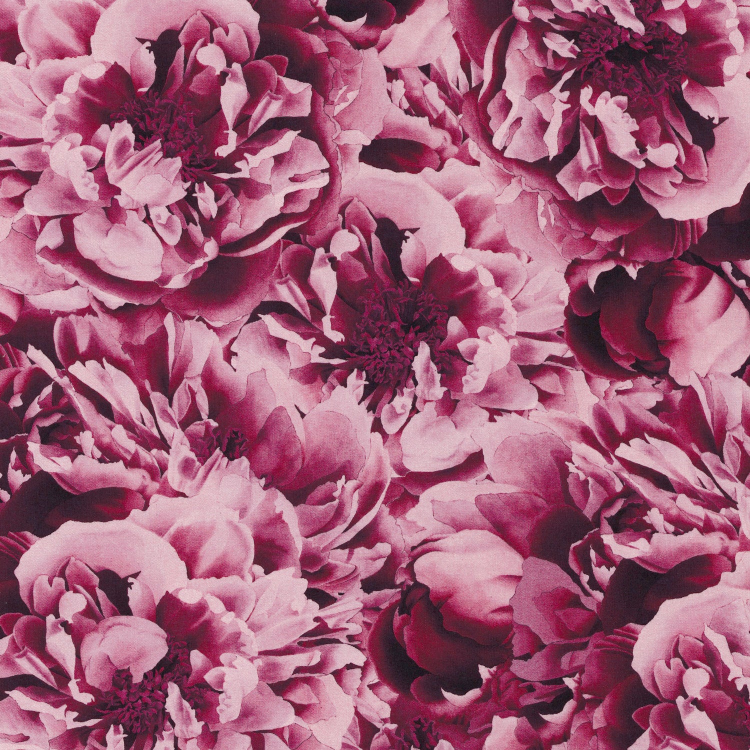Everlasting (B) *Last Fat Quarter*