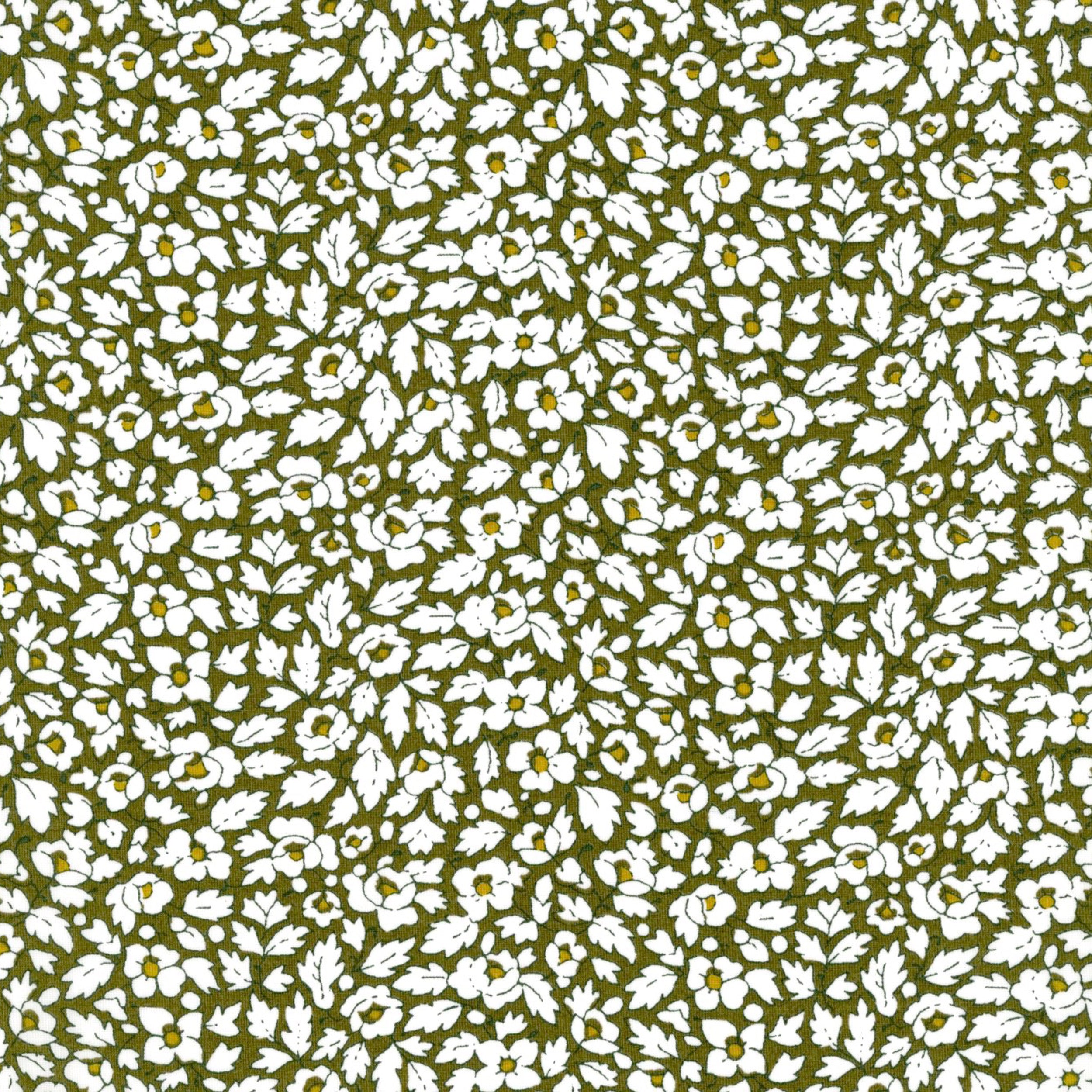 Feather Meadow (B)