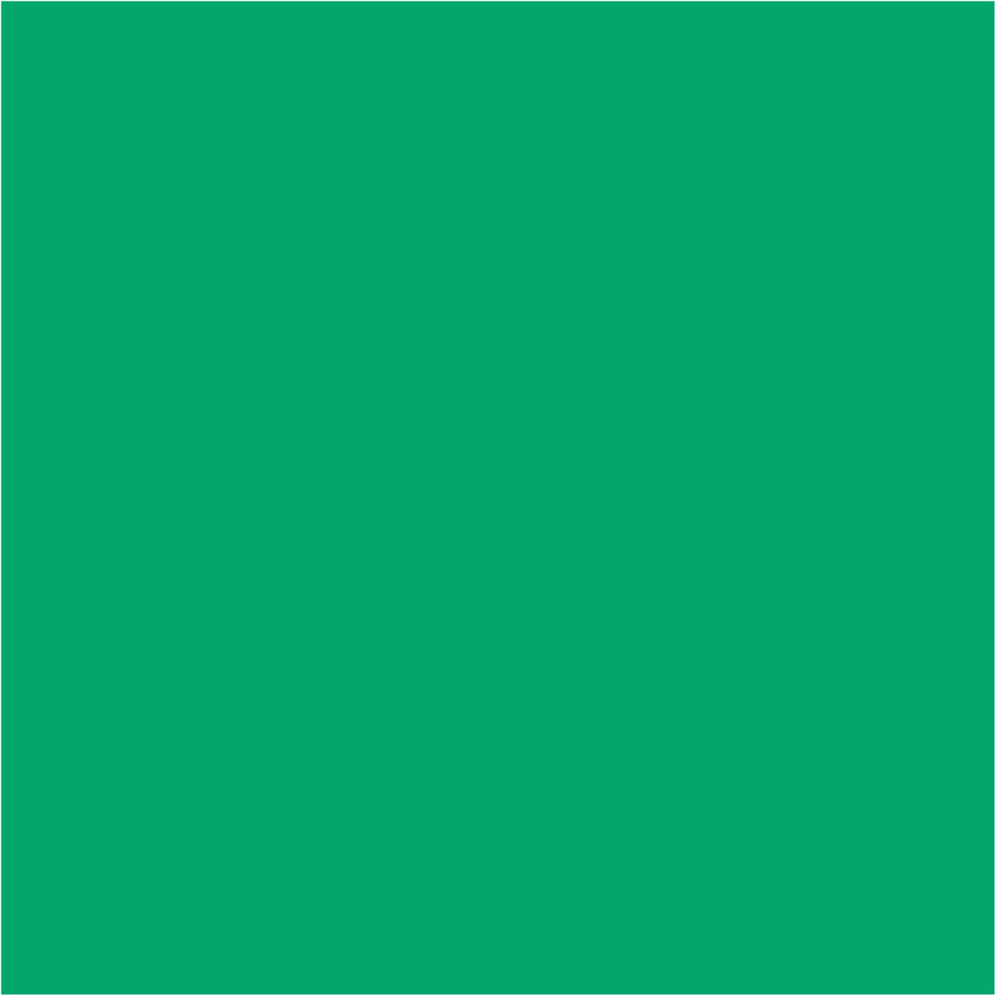 Solid Fern – Last Of