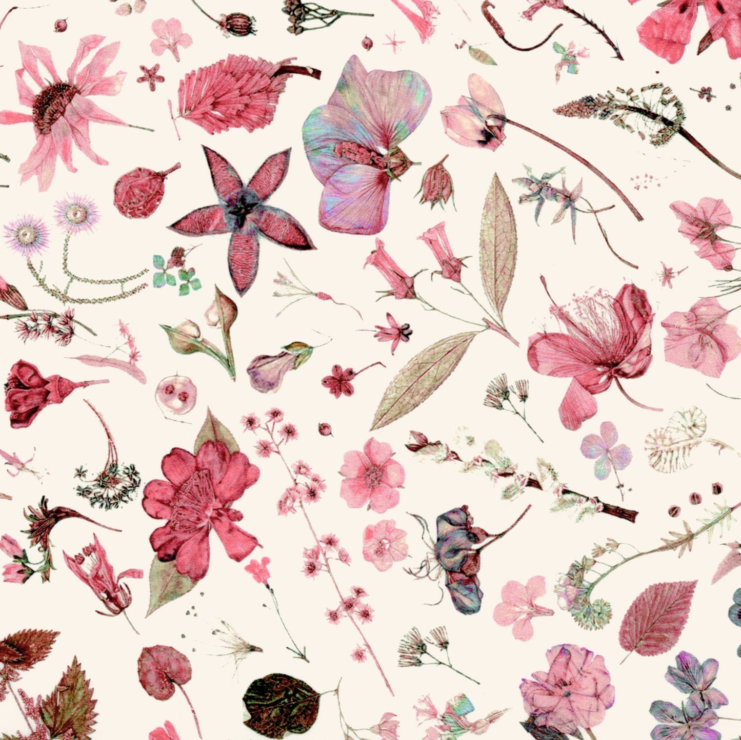 Floral Eve (B)
