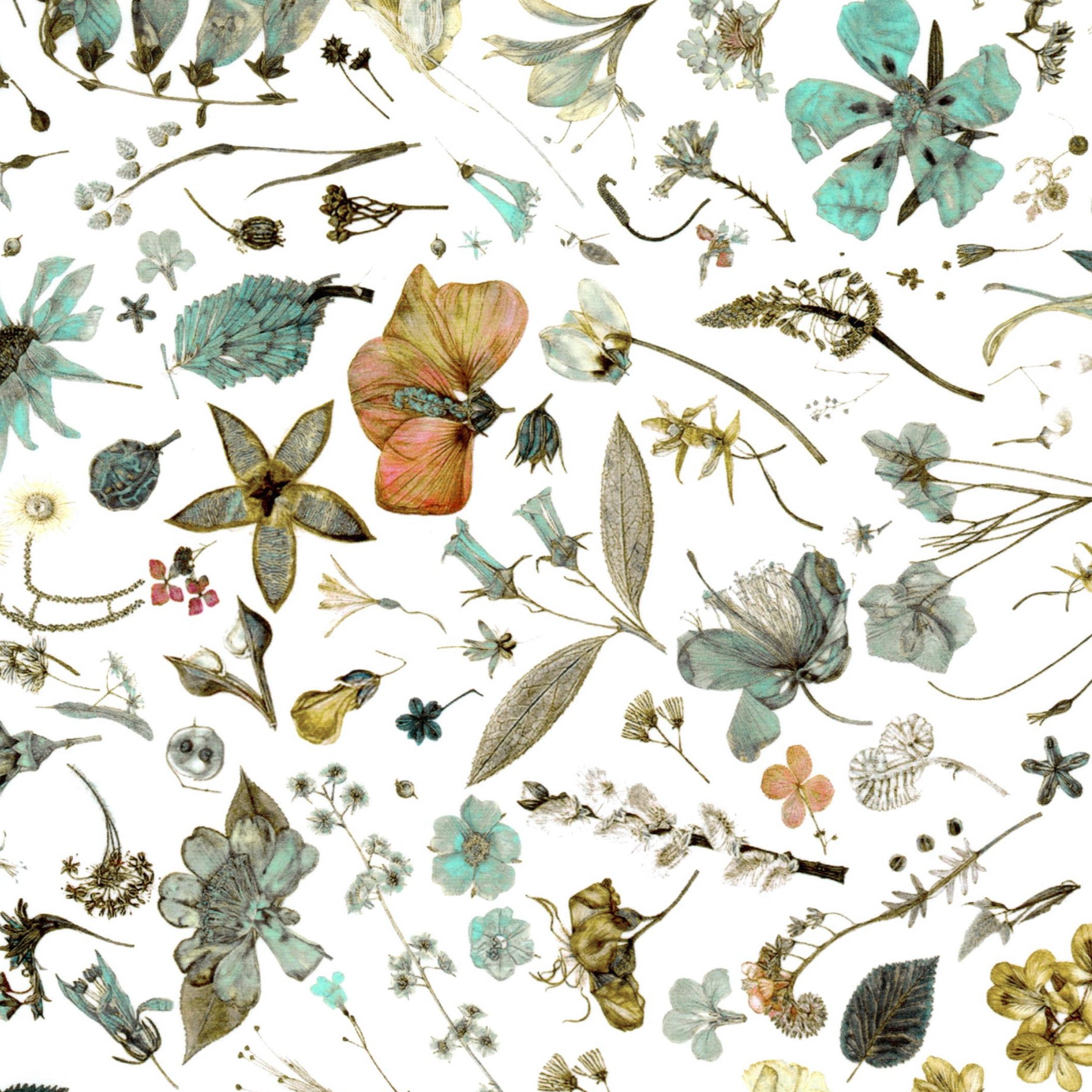 Floral Eve (C)