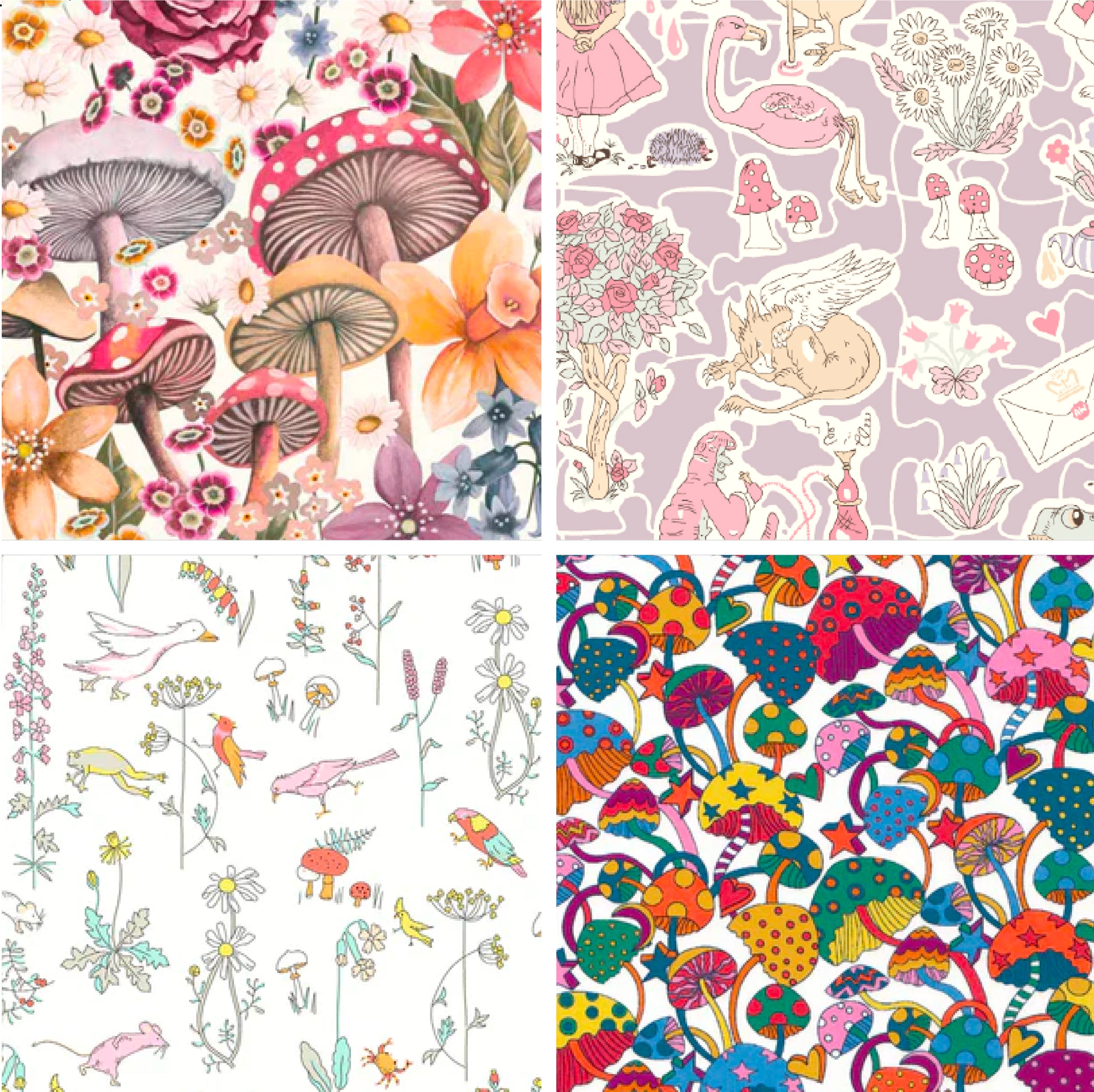 Fun Fungi Bundle