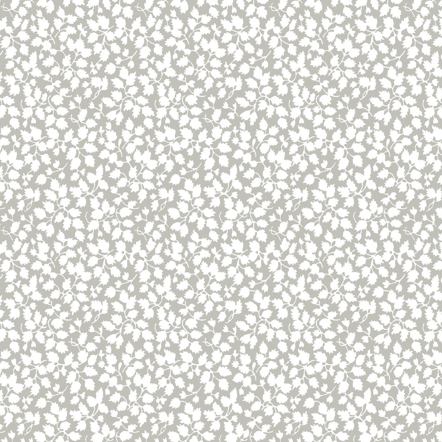 Glenjade Grey (U)