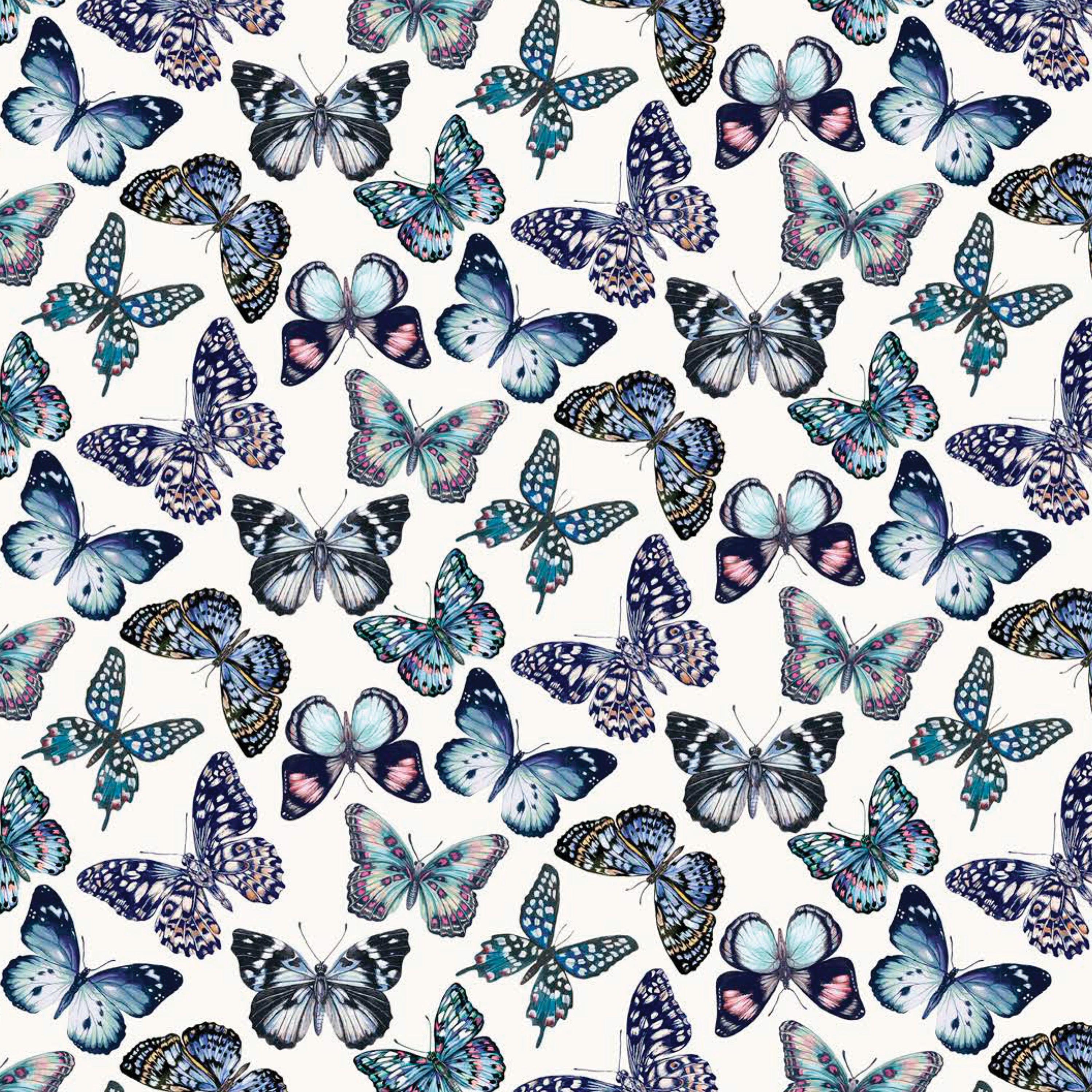 Julie Butterfly (A)