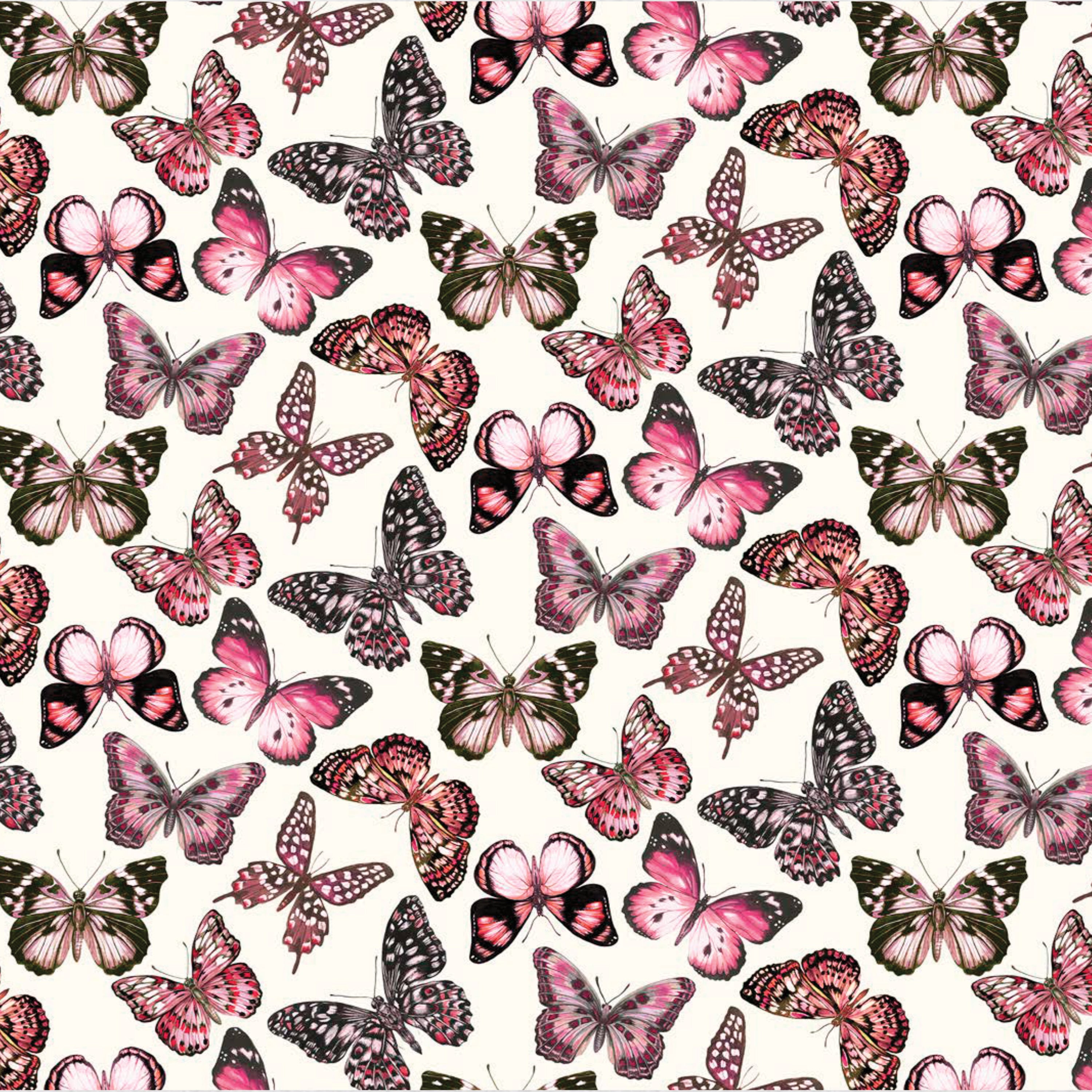 Julie Butterfly (C)