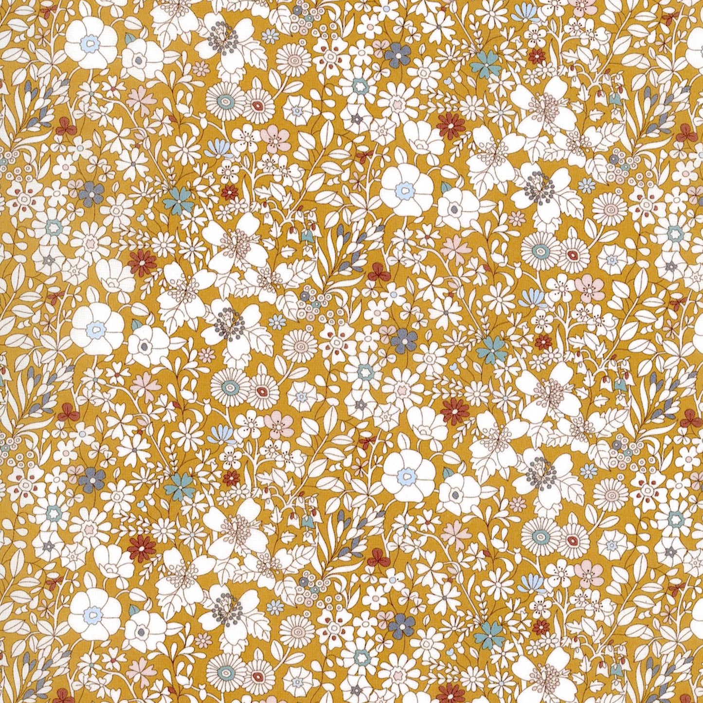 June's Meadow (L)