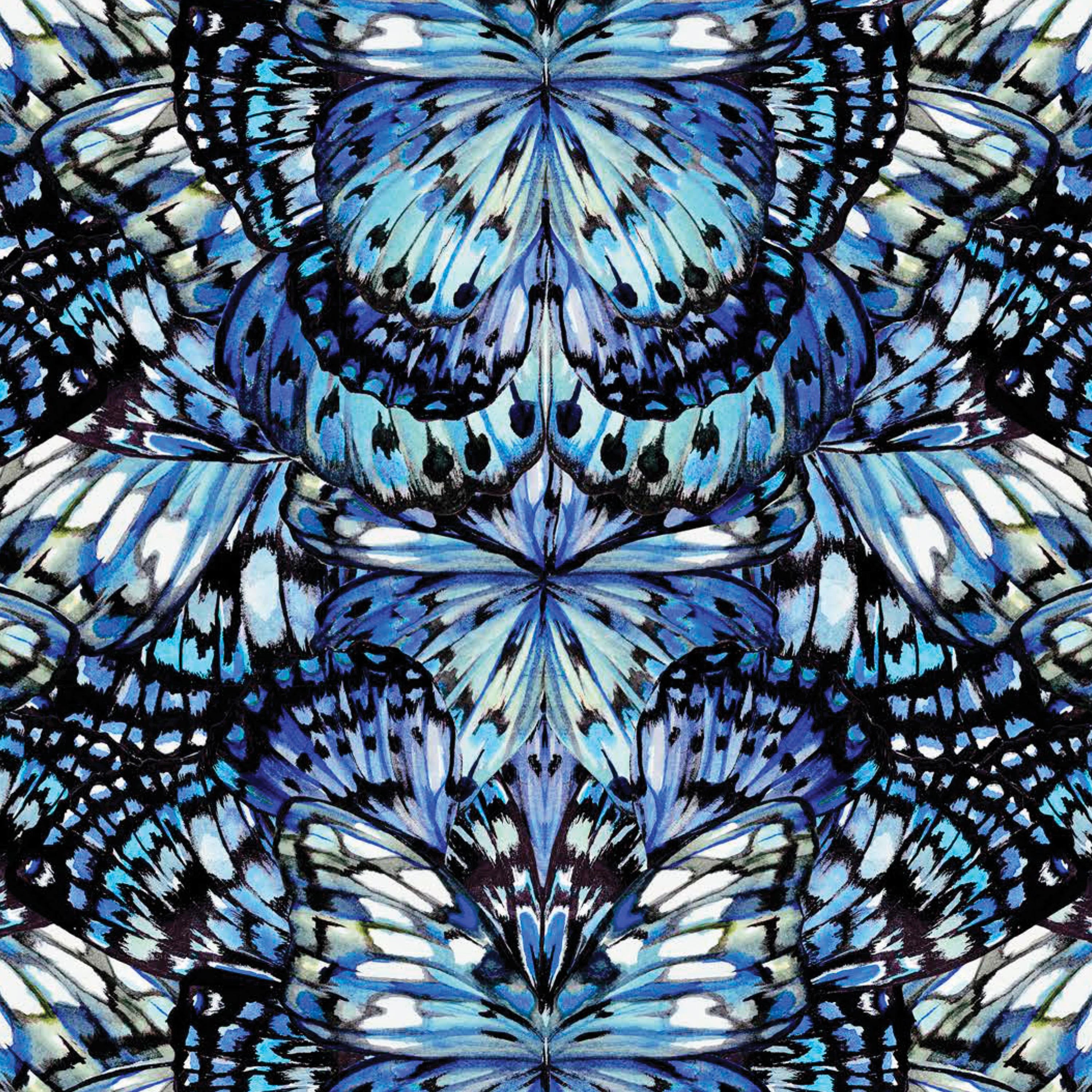 Kaleidoscope (A)