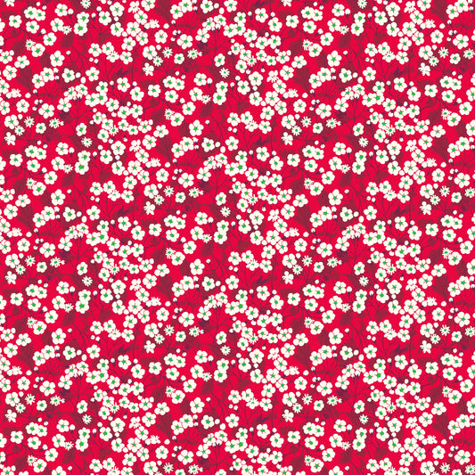 Mitsi Valeria Red (D)