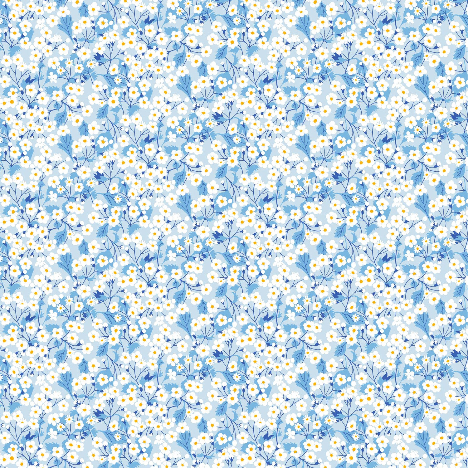 Mitsi Valeria Blue (A)